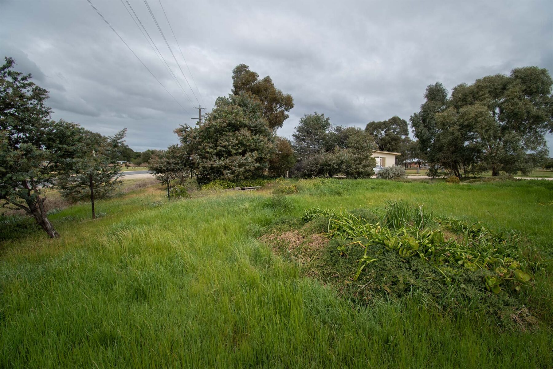 Land: 539 Timor Road, Bowenvale, VIC, 3465 photo-8