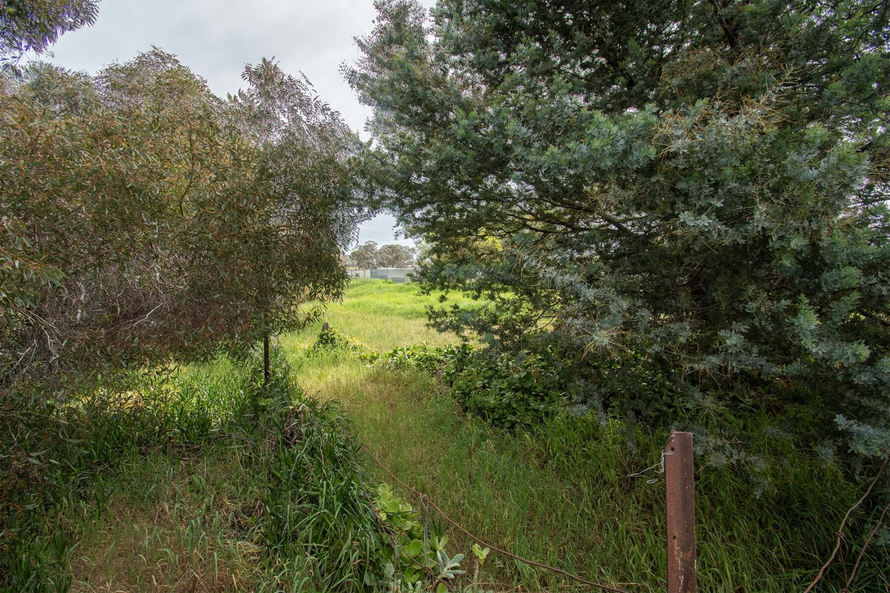 Land: 539 Timor Road, Bowenvale, VIC, 3465 photo-7