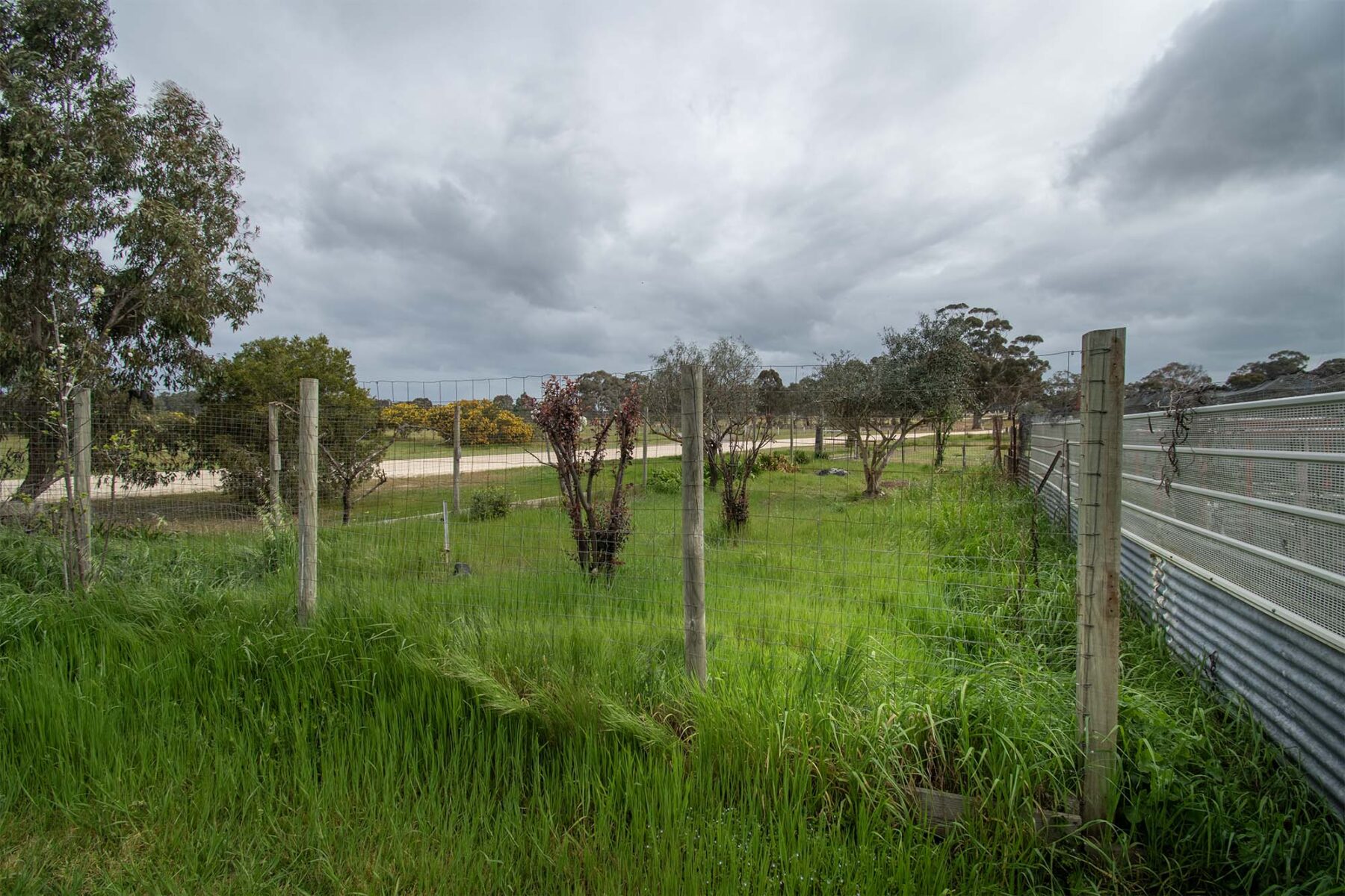 Land: 539 Timor Road, Bowenvale, VIC, 3465 photo-5