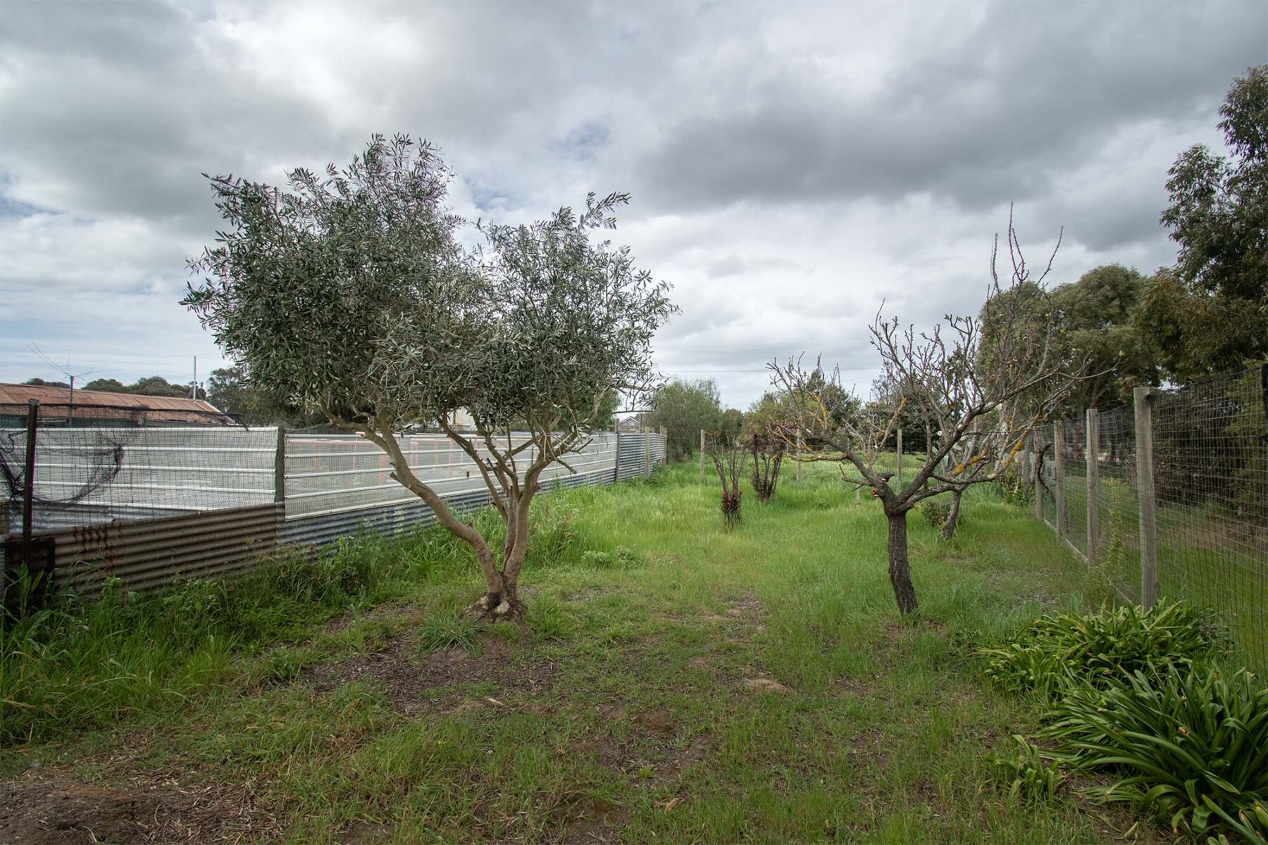 Land: 539 Timor Road, Bowenvale, VIC, 3465 photo-3