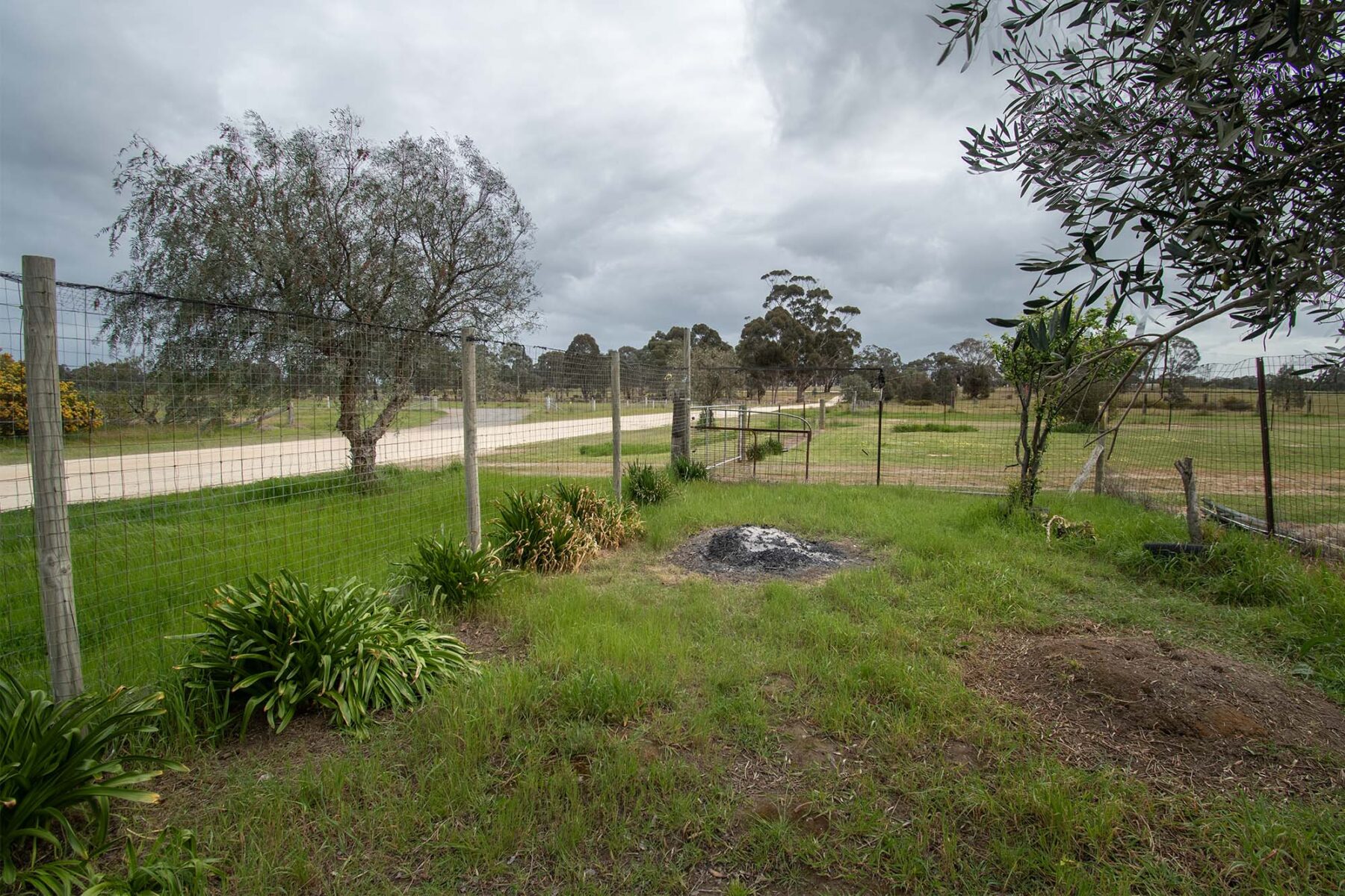 Land: 539 Timor Road, Bowenvale, VIC, 3465 photo-1