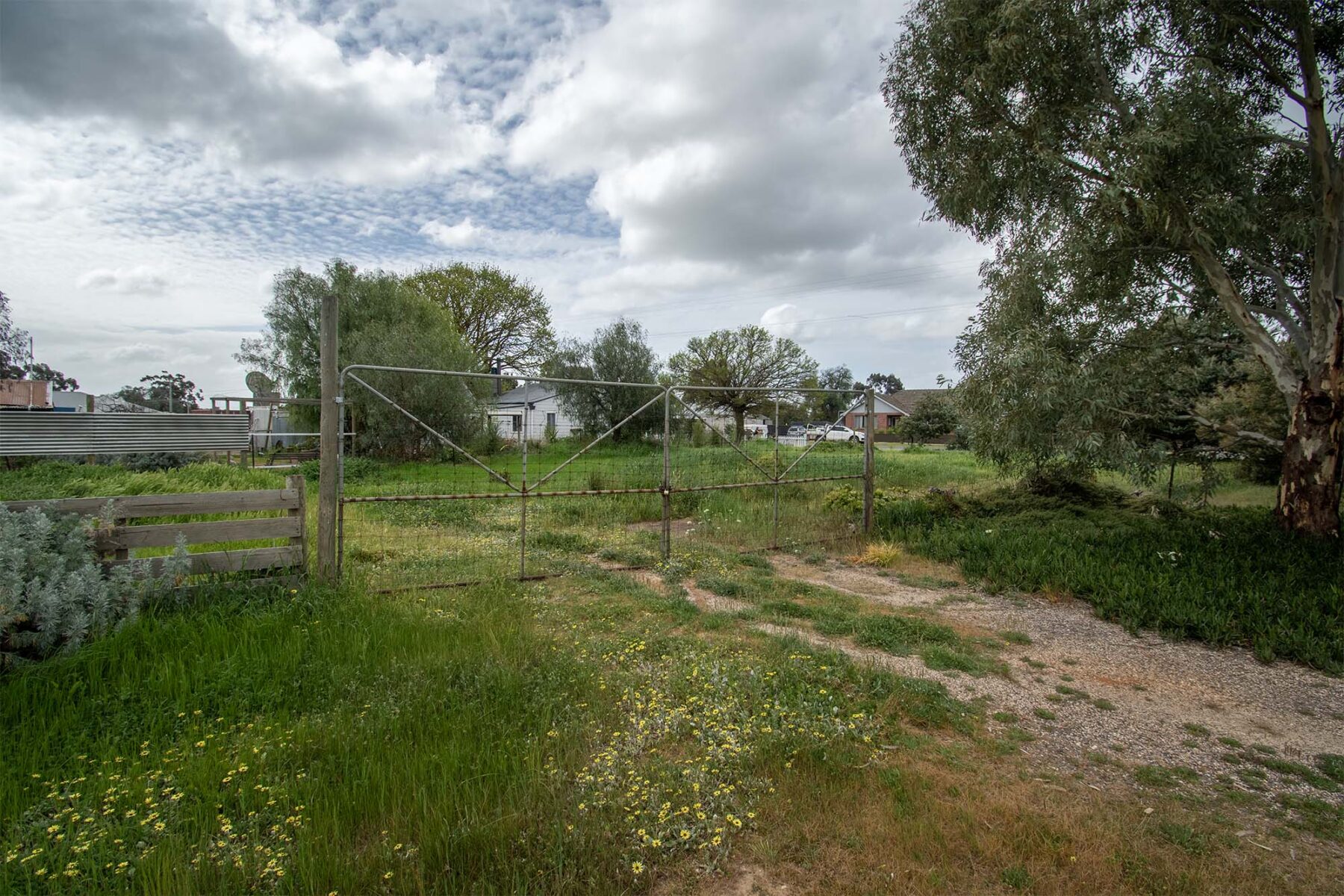 Land: 539 Timor Road, Bowenvale, VIC, 3465 photo-15