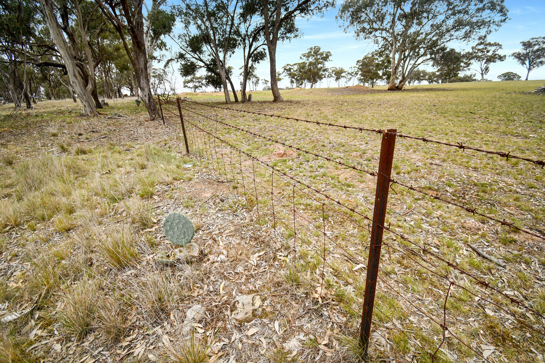Land: 602 Old Eddington Road, Betley, VIC, 3465 photo-16