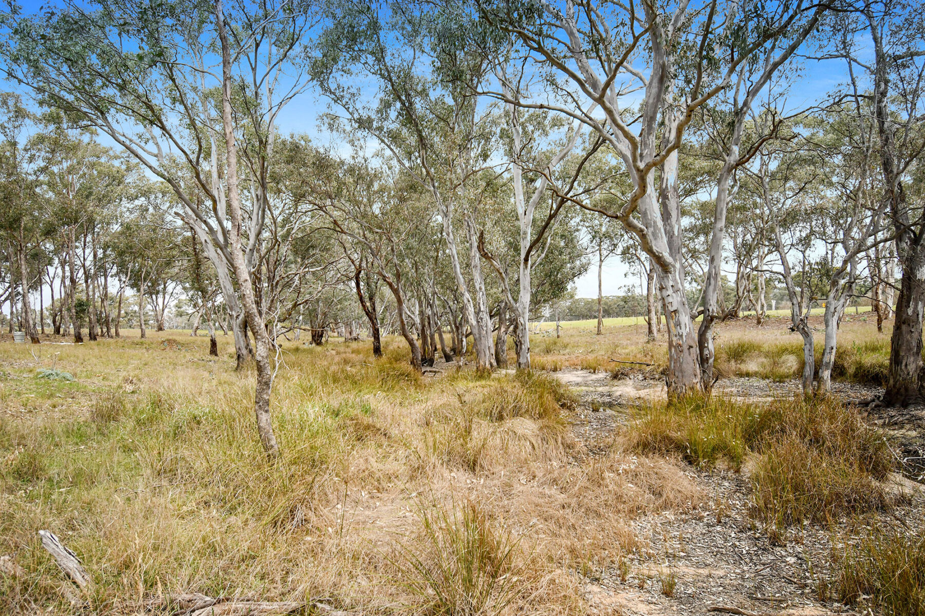 Land: 602 Old Eddington Road, Betley, VIC, 3465 photo-17