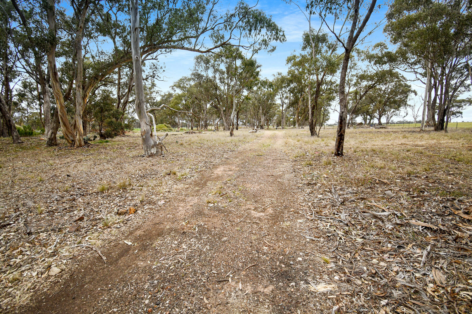 Land: 602 Old Eddington Road, Betley, VIC, 3465 photo-11