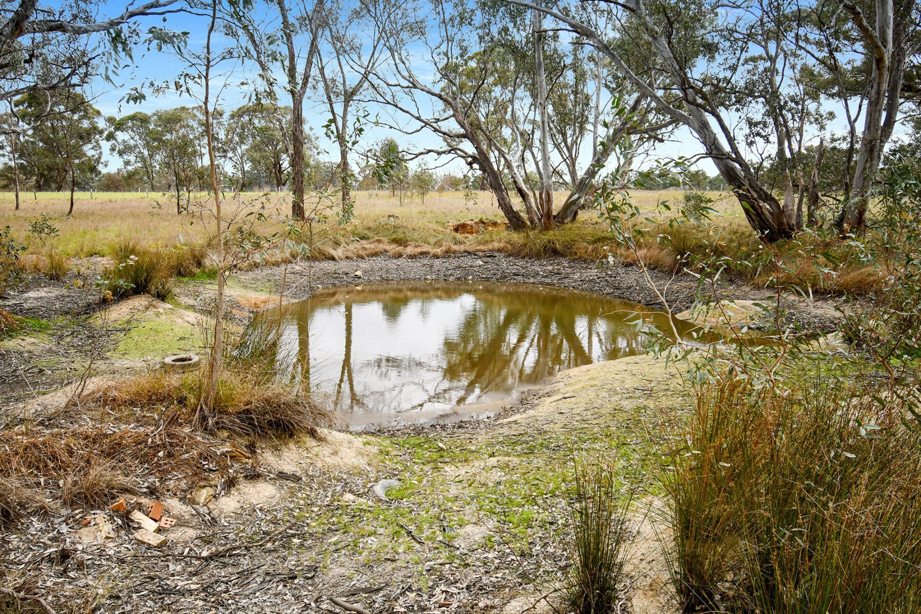 Land: 602 Old Eddington Road, Betley, VIC, 3465 photo-10