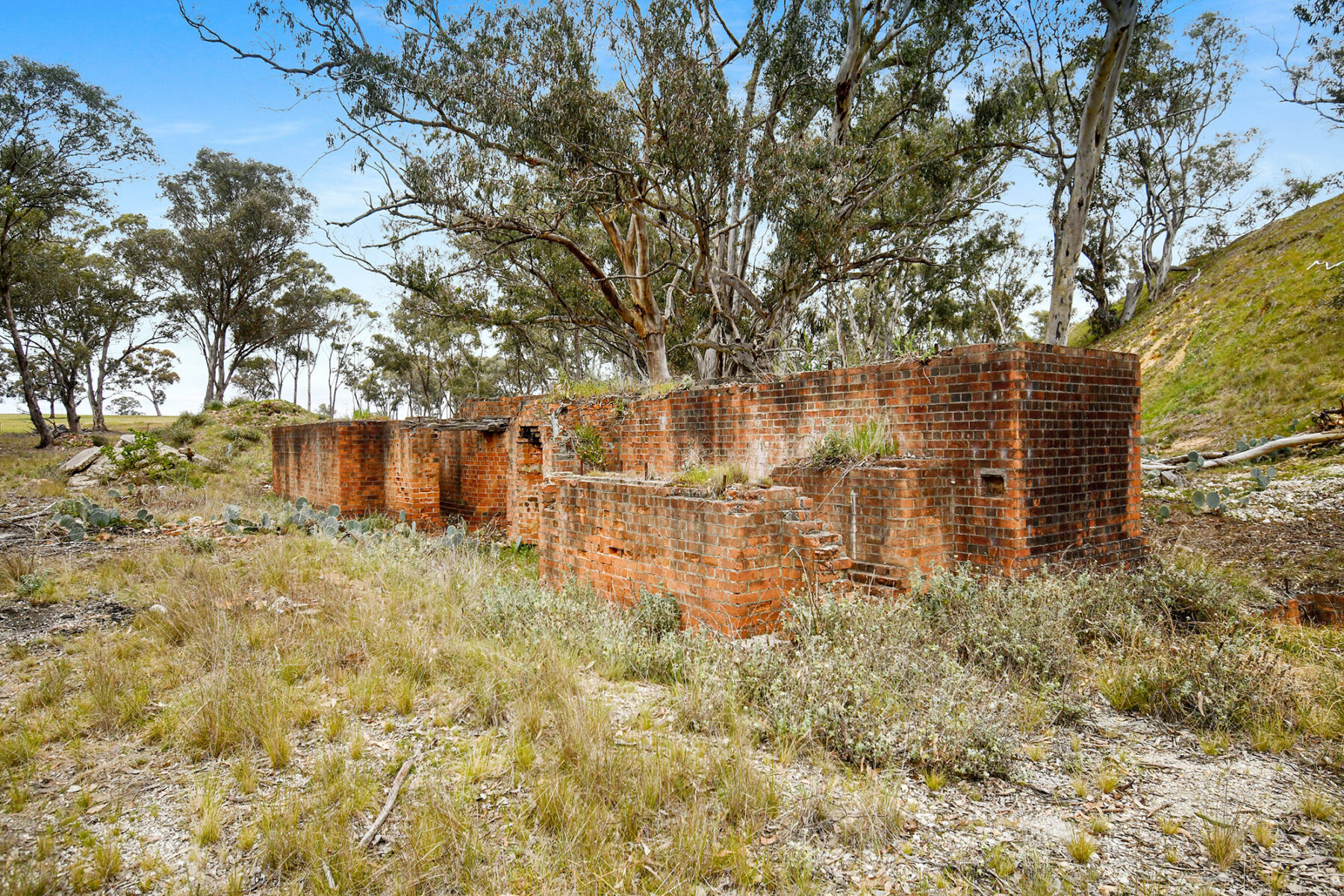 Land: 602 Old Eddington Road, Betley, VIC, 3465 photo-6