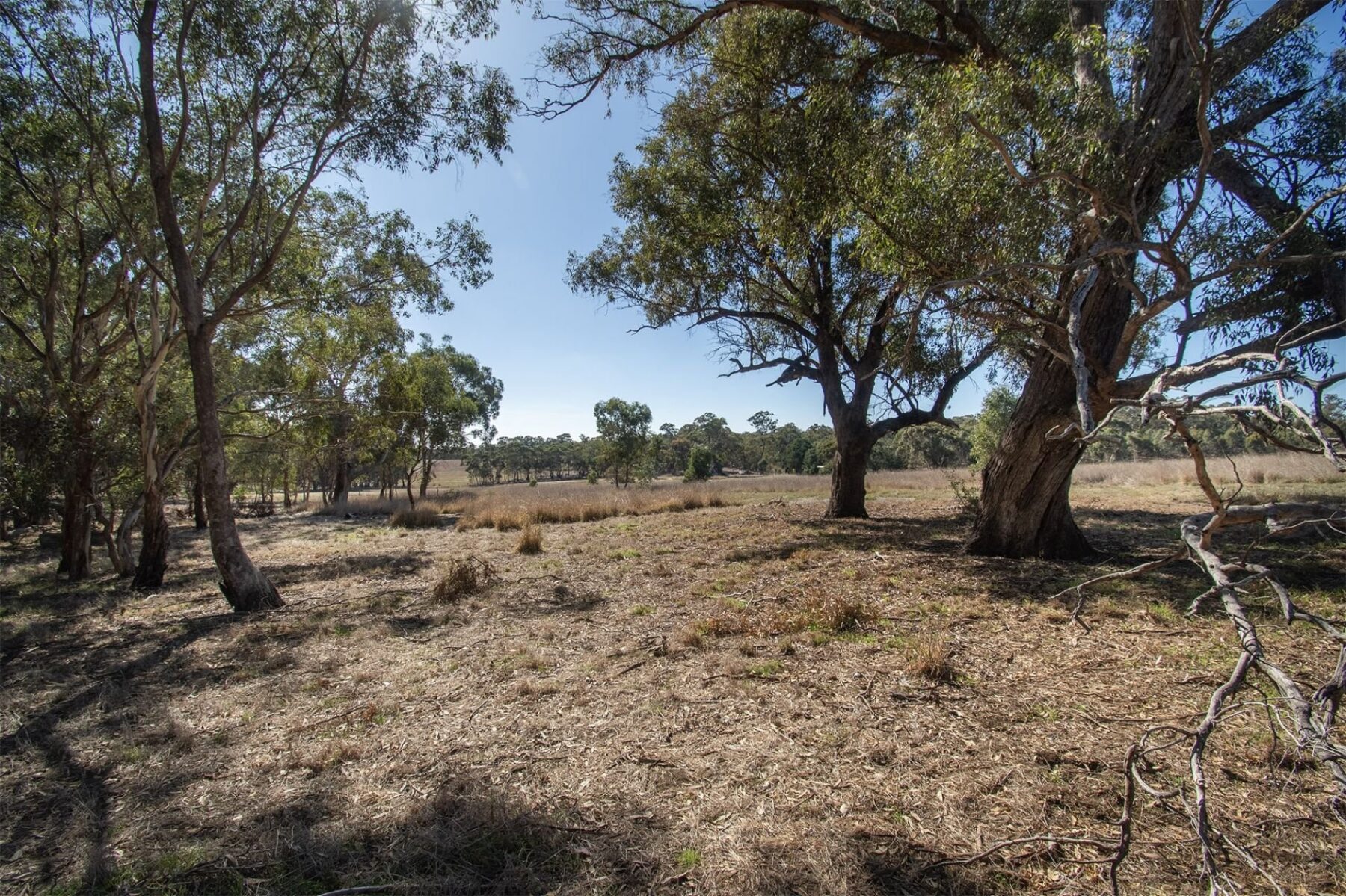 Property: 65 Hoopers Road, Mount Glasgow, VIC, 3371 photo-1