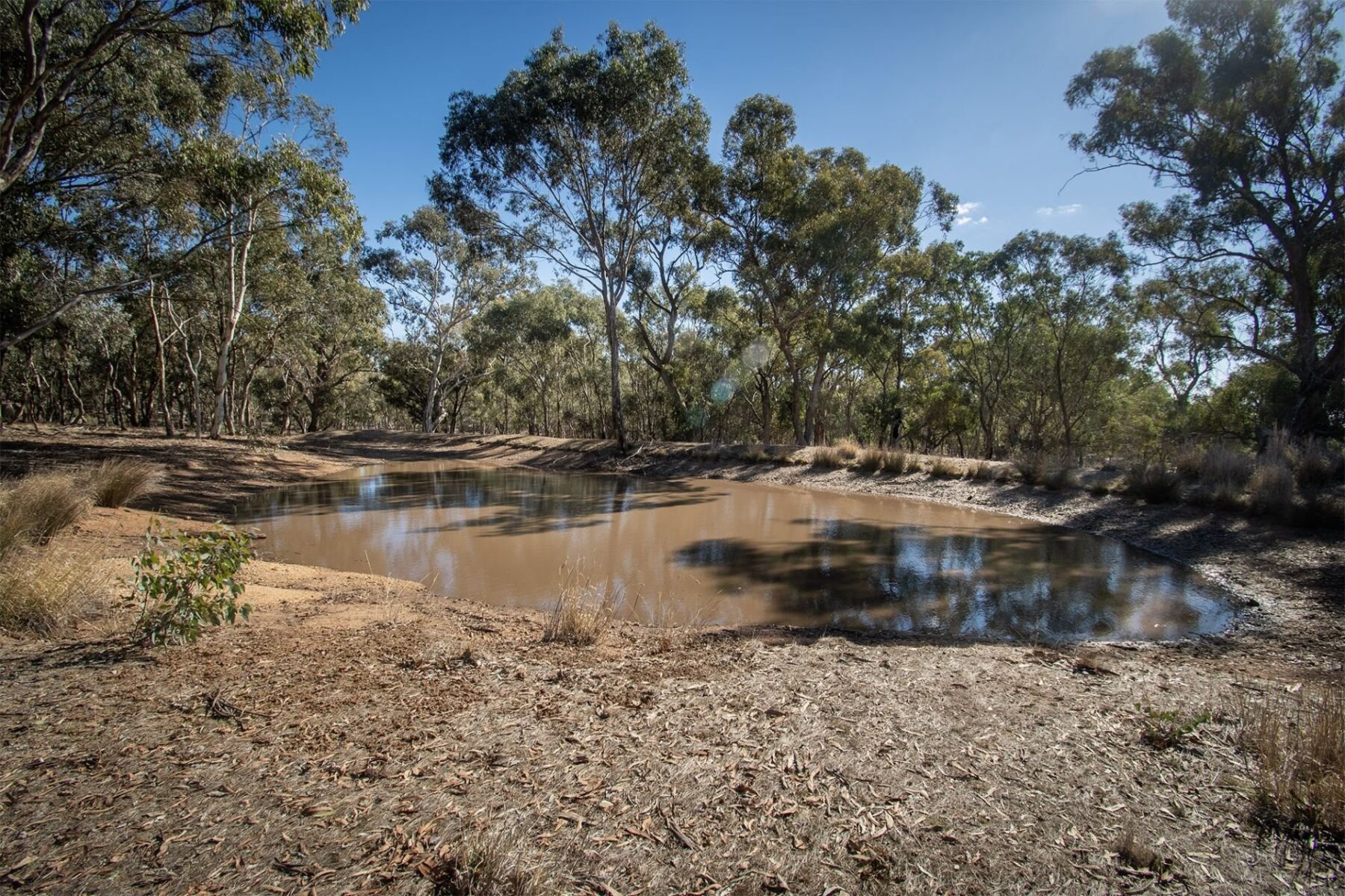 Property: 65 Hoopers Road, Mount Glasgow, VIC, 3371 photo-2