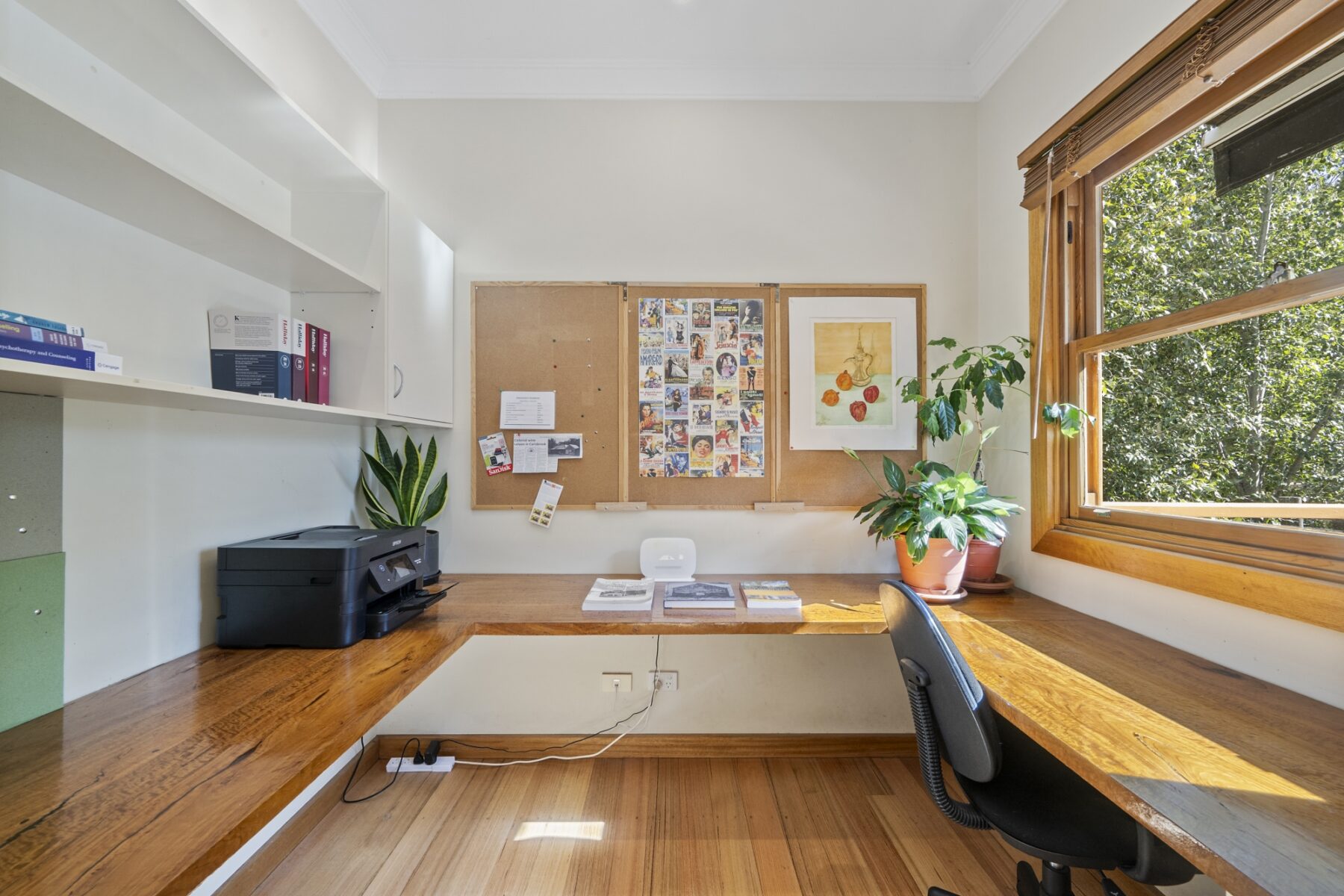 Property: 24 Bucknall Street, Carisbrook, VIC, 3464 photo-4