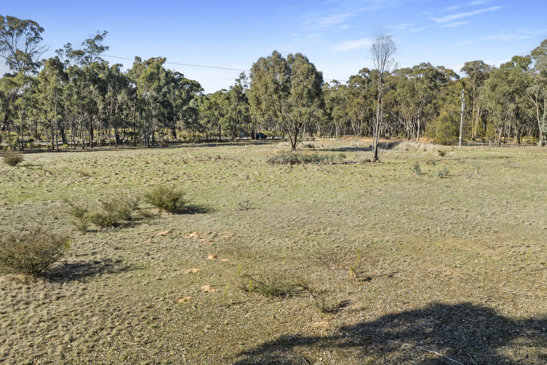 Property: CA 4 PART OF 639 Maryborough Dunolly Road, Havelock, VIC, 3465 photo-3