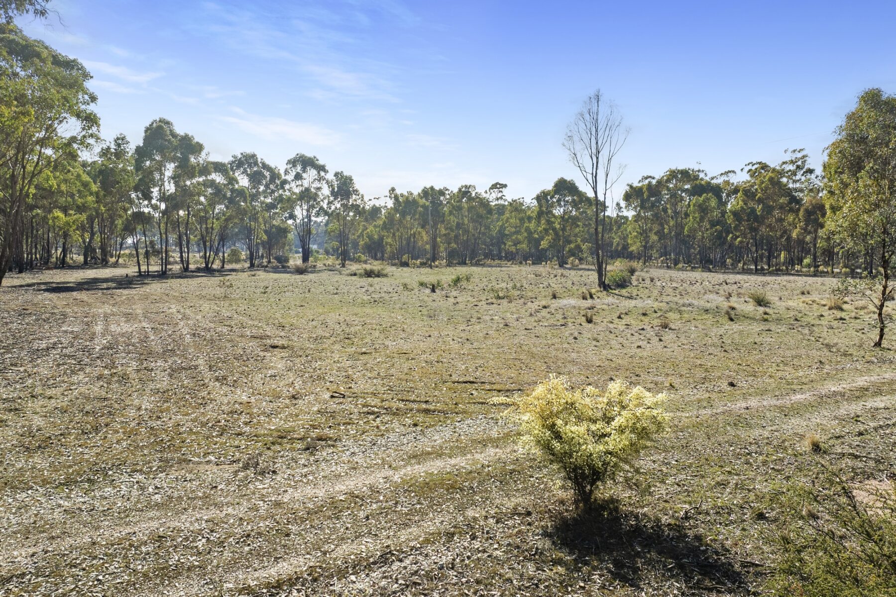 Property: CA 4 PART OF 639 Maryborough Dunolly Road, Havelock, VIC, 3465 photo-4