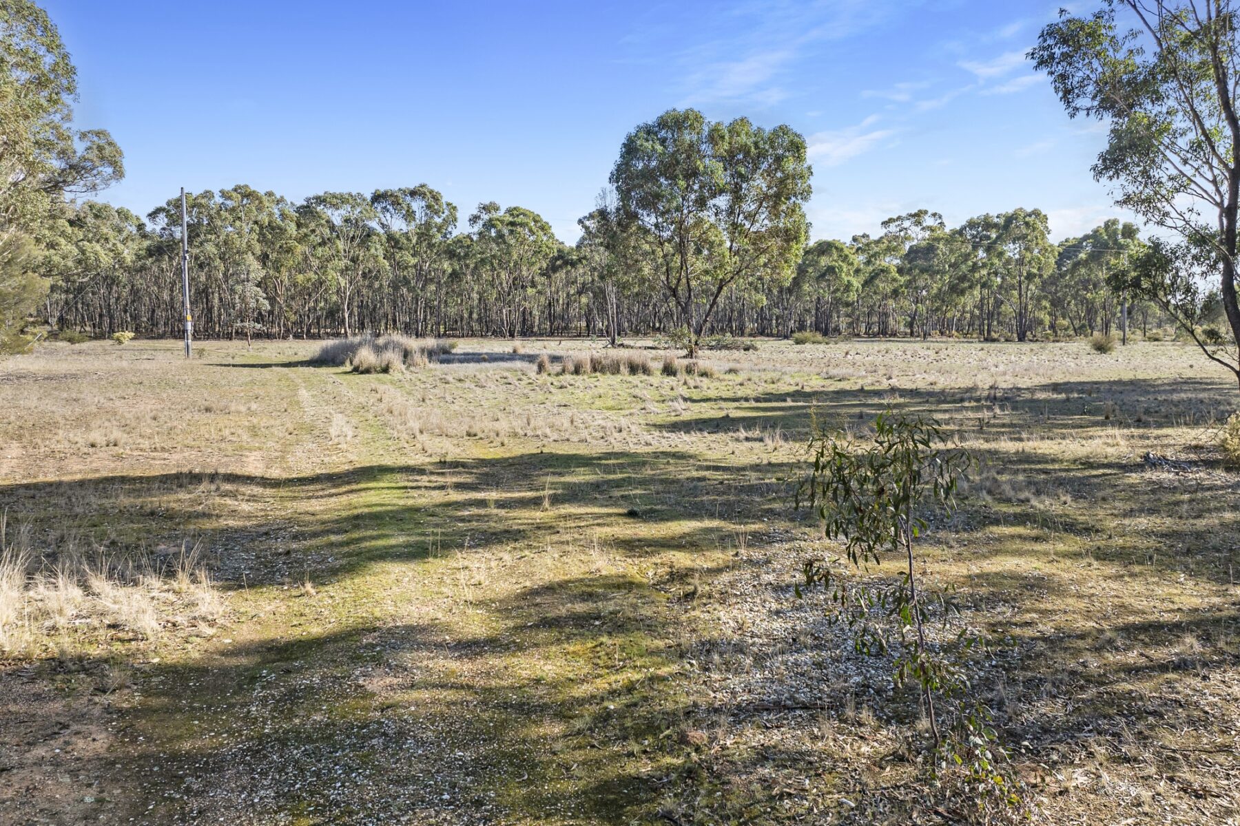Property: CA 4 PART OF 639 Maryborough Dunolly Road, Havelock, VIC, 3465 photo-5
