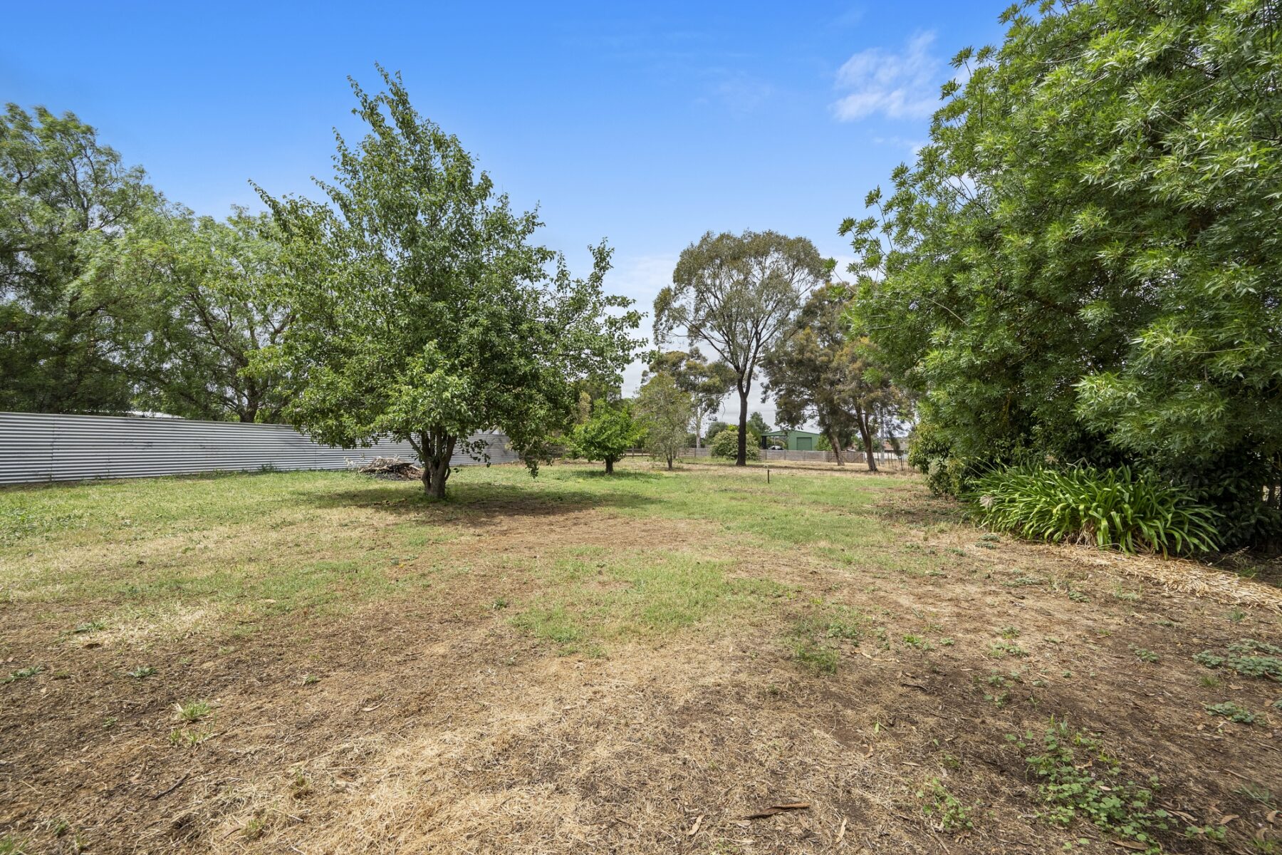 Property: 12 Grice Street, Carisbrook, VIC, 3464 photo-4