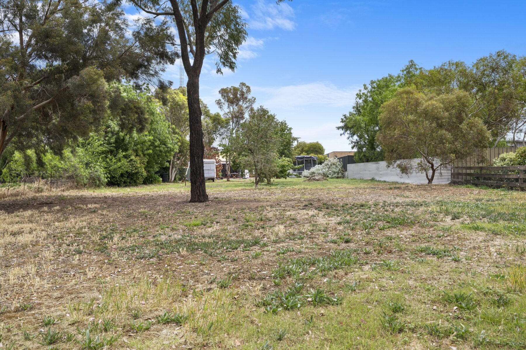 Property: 12 Grice Street, Carisbrook, VIC, 3464 photo-3