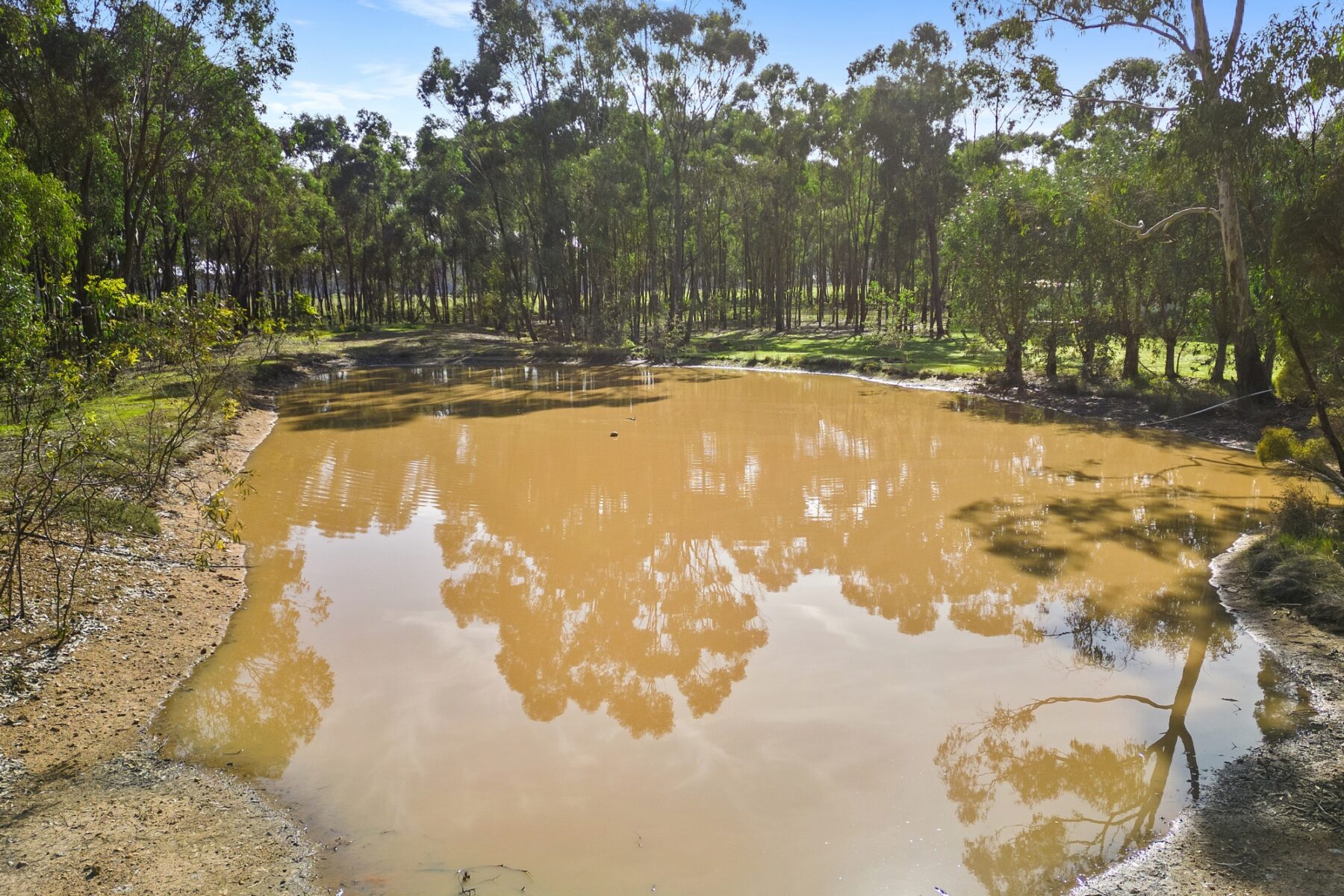Property: 53 Palmer Road, Simson, VIC, 3465 photo-16
