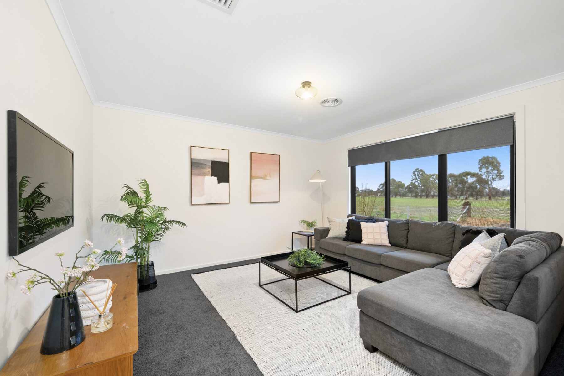 Property: 66 Astbury Street, Avoca, Vic, 3467 photo-12