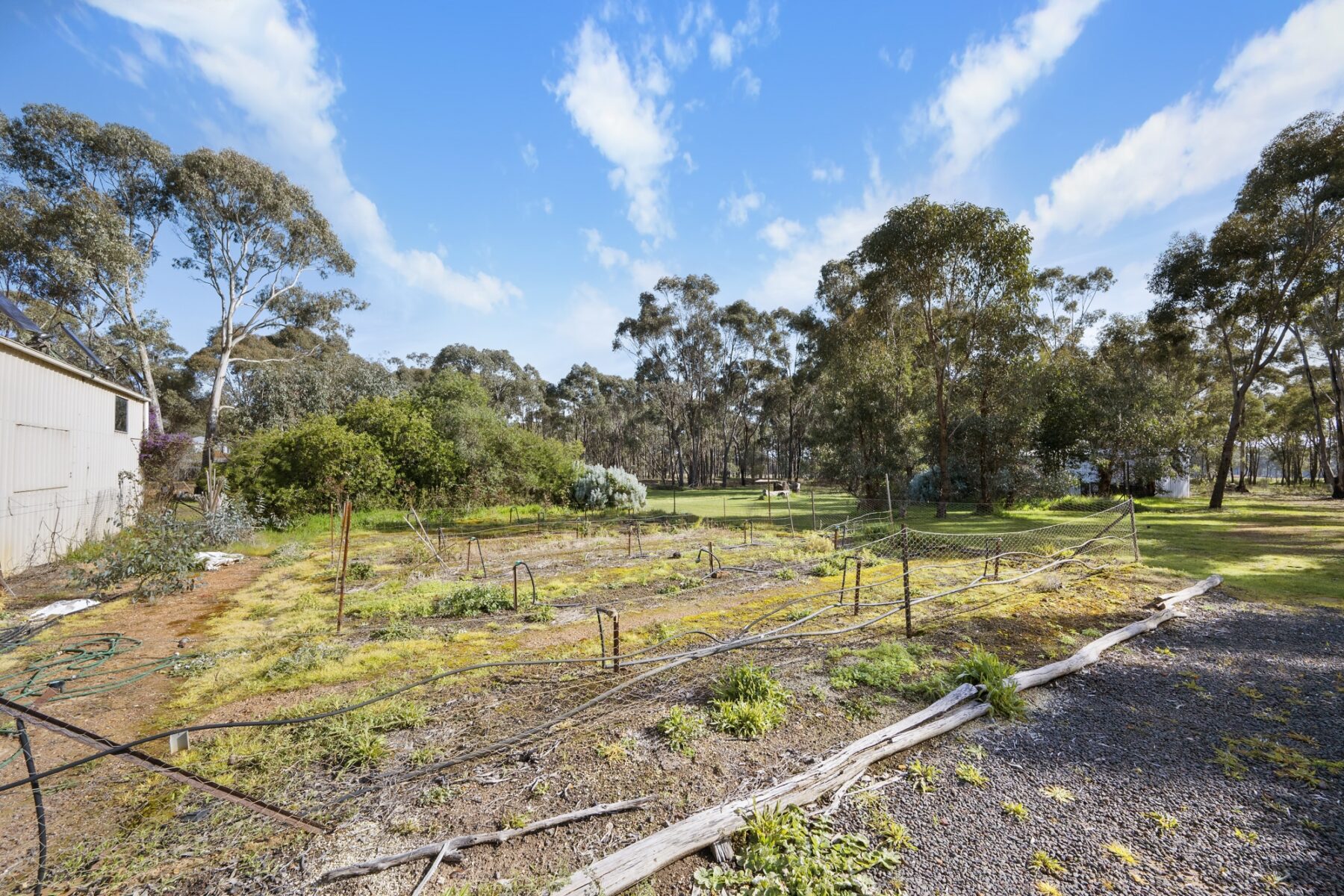 Property: 53 Palmer Road, Simson, VIC, 3465 photo-7