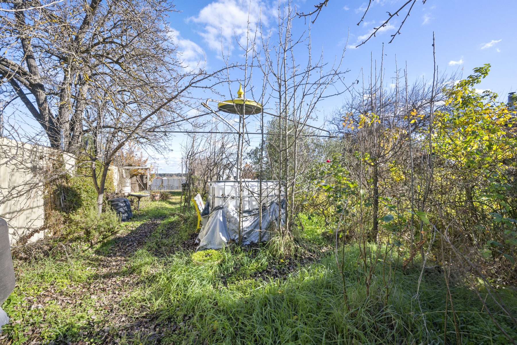 Property: 33 Scandinavian Crescent, Talbot, Vic, 3371 photo-8