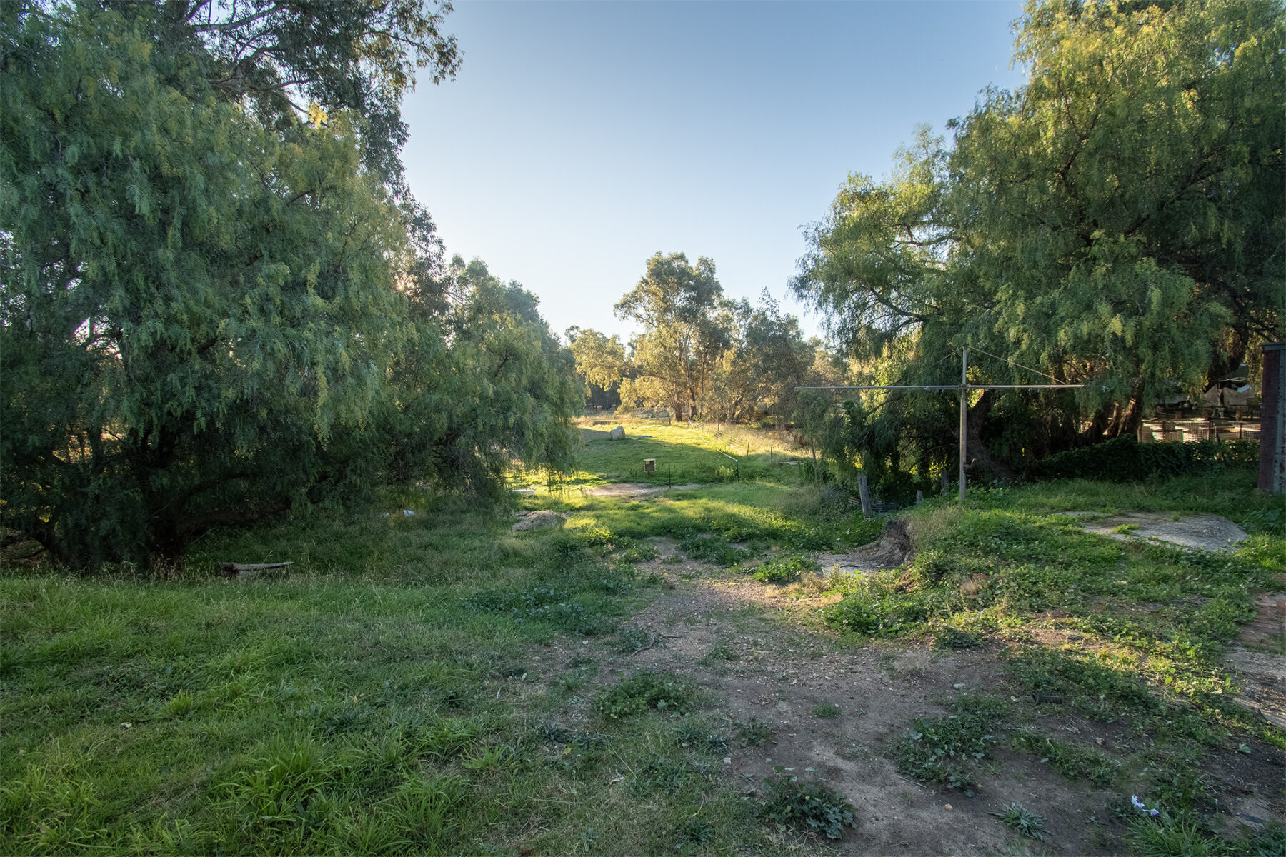 Property: 29 Main Street, Bealiba, VIC, 3475 photo-5