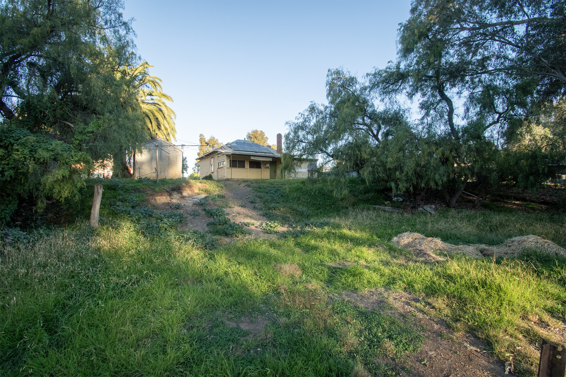 Property: 29 Main Street, Bealiba, VIC, 3475 photo-3