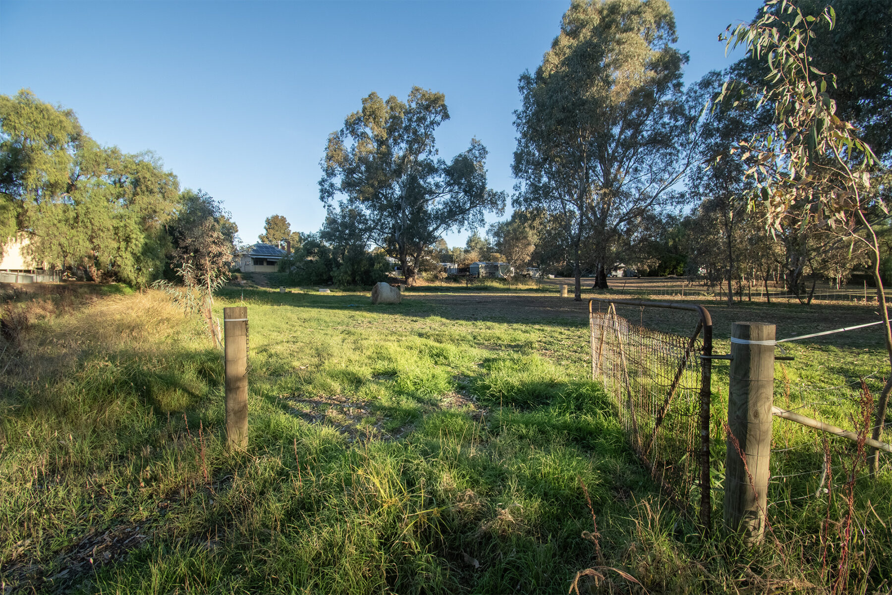 Property: 29 Main Street, Bealiba, VIC, 3475 photo-2