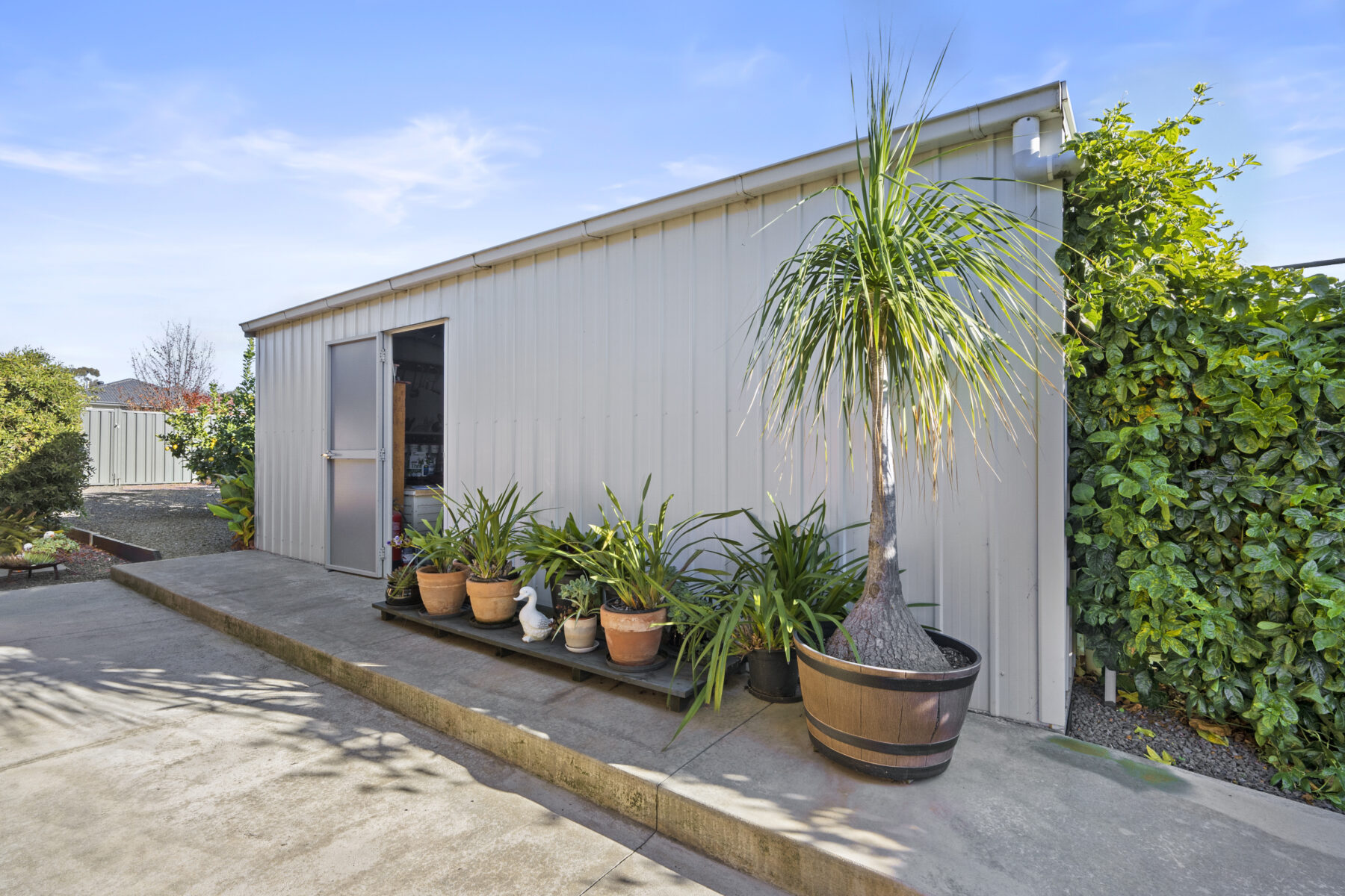 Property: 16 Central Court, Maryborough, VIC, 3465 photo-13