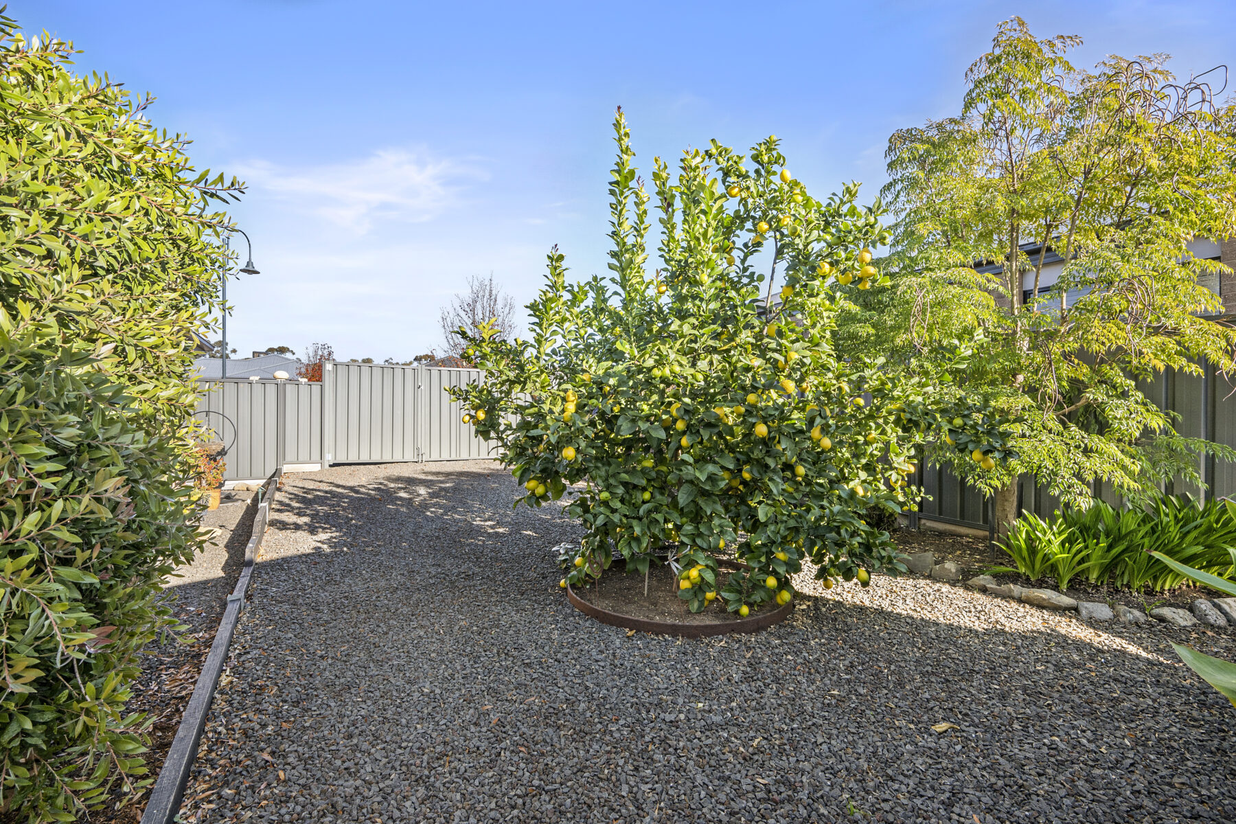Property: 16 Central Court, Maryborough, VIC, 3465 photo-6
