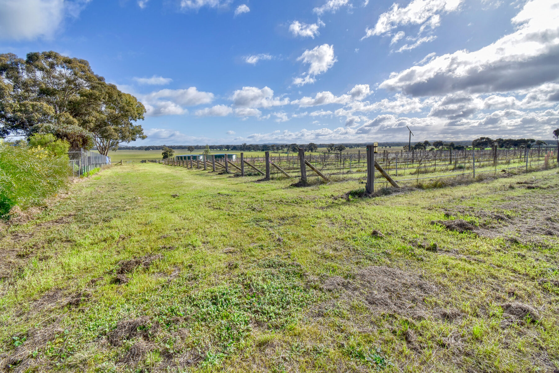 Property: 4834 BENDIGO - MARYBOROUGH RD, BETLEY, VIC, 3465 photo-26