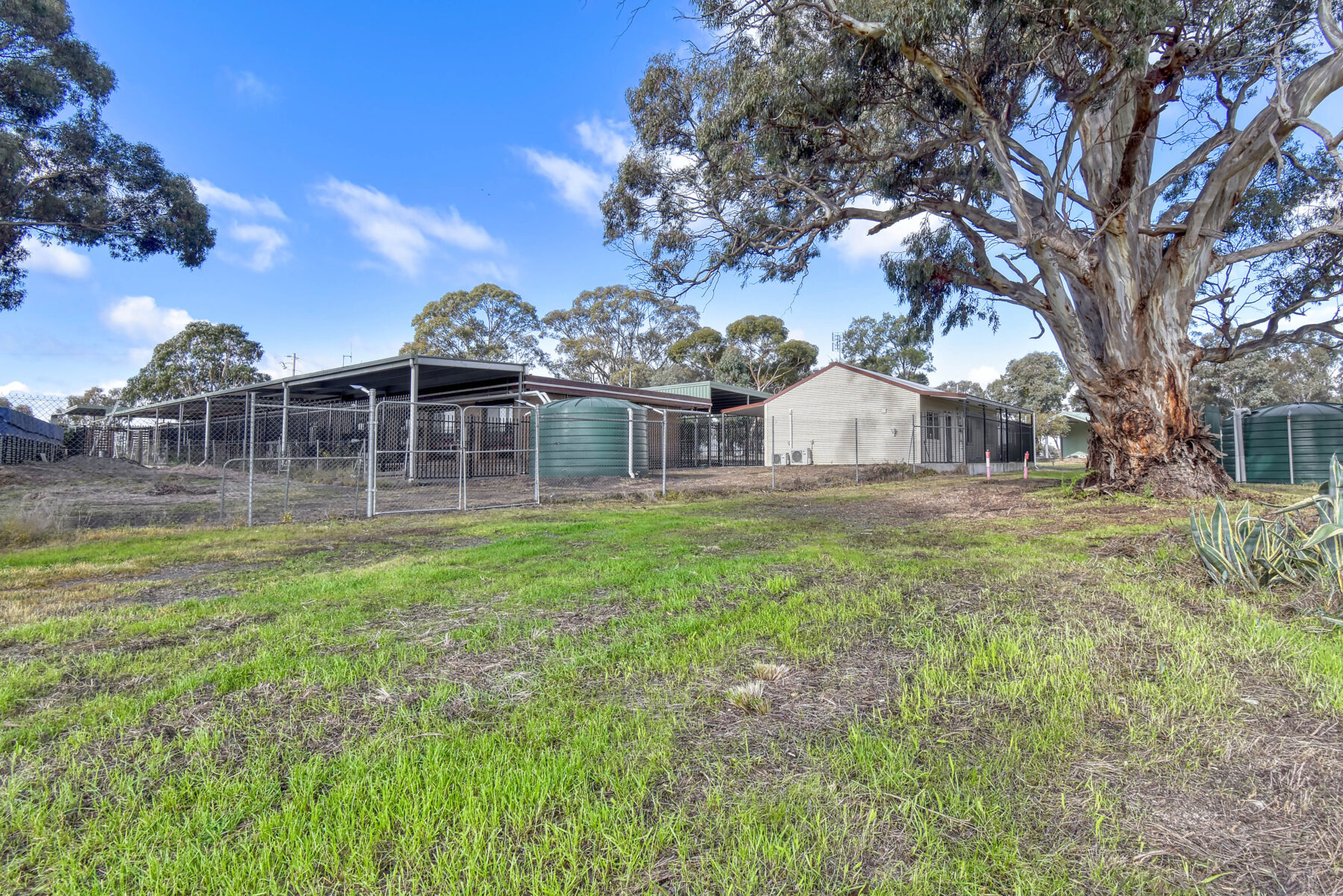 Property: 4834 BENDIGO - MARYBOROUGH RD, BETLEY, VIC, 3465 photo-14