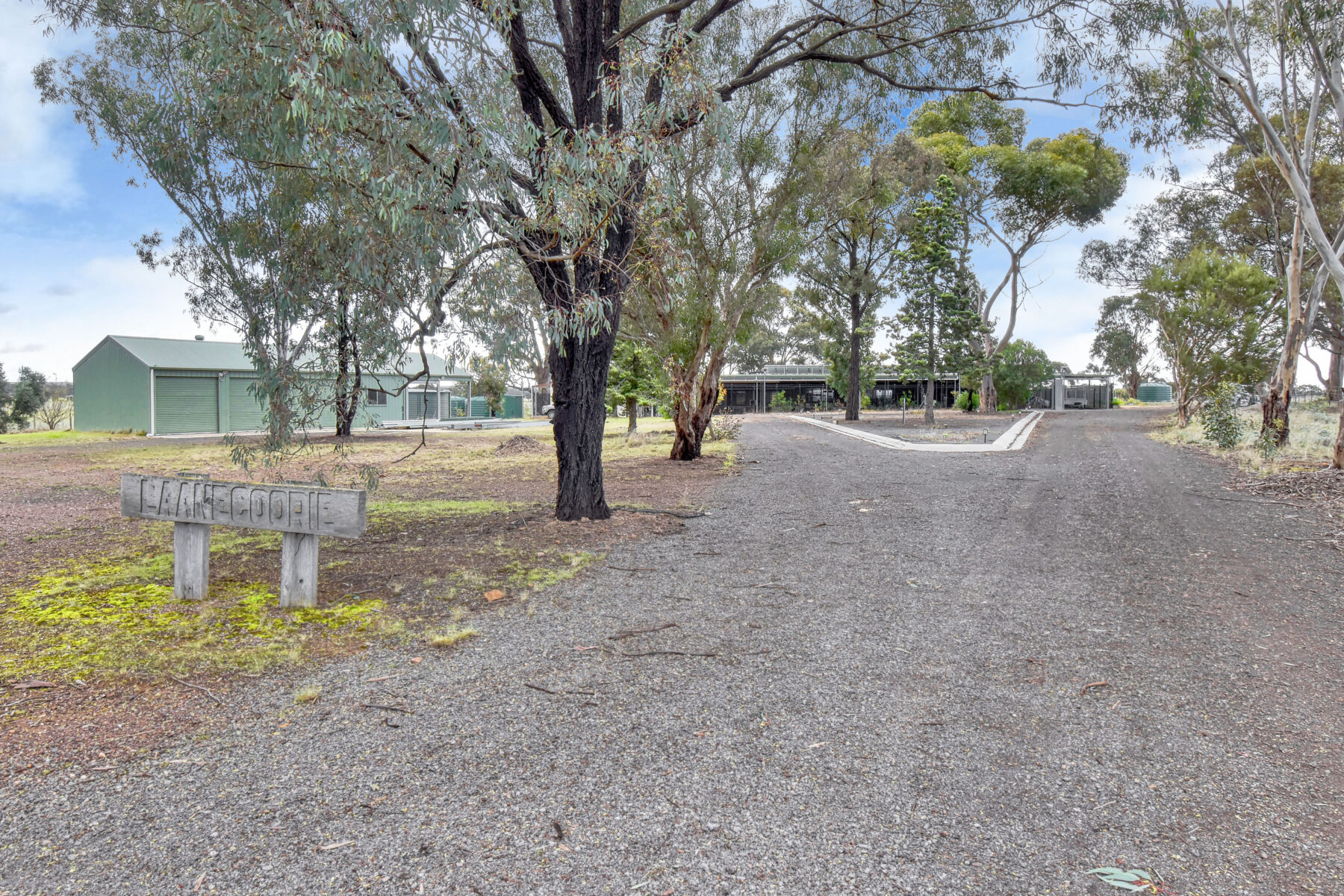 Property: 4834 BENDIGO - MARYBOROUGH RD, BETLEY, VIC, 3465 photo-6