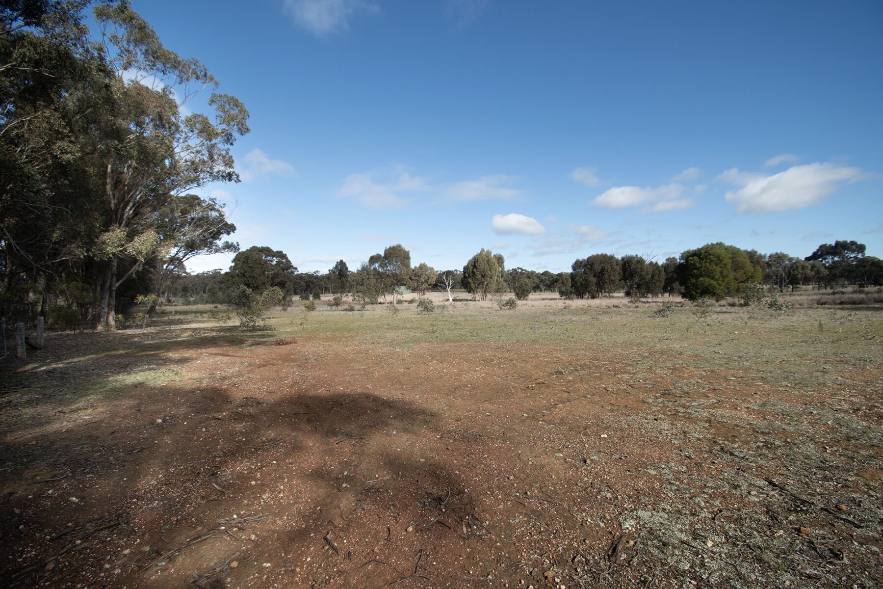 Property: 64 Diggers Track, Dunolly, VIC, 3472 photo-11