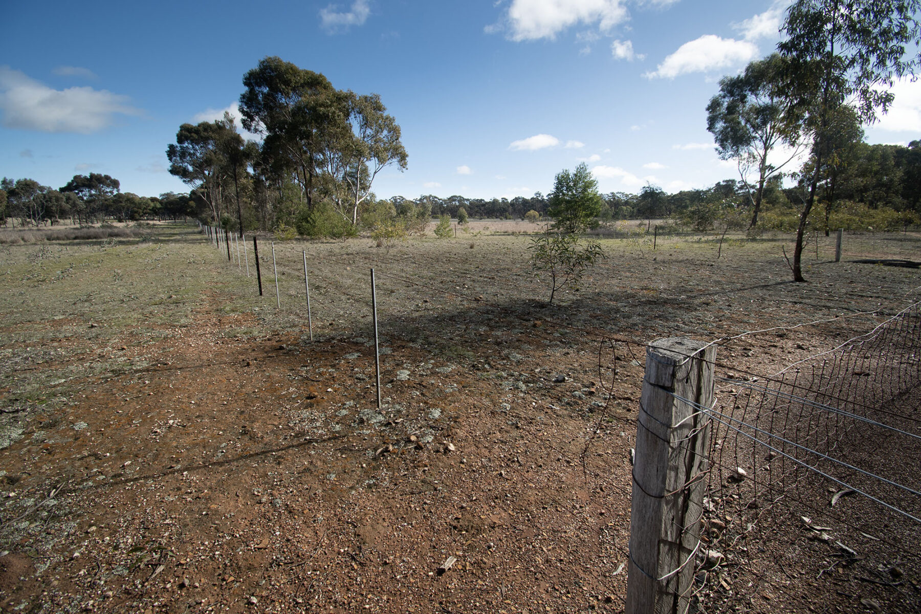 Property: 64 Diggers Track, Dunolly, VIC, 3472 photo-10