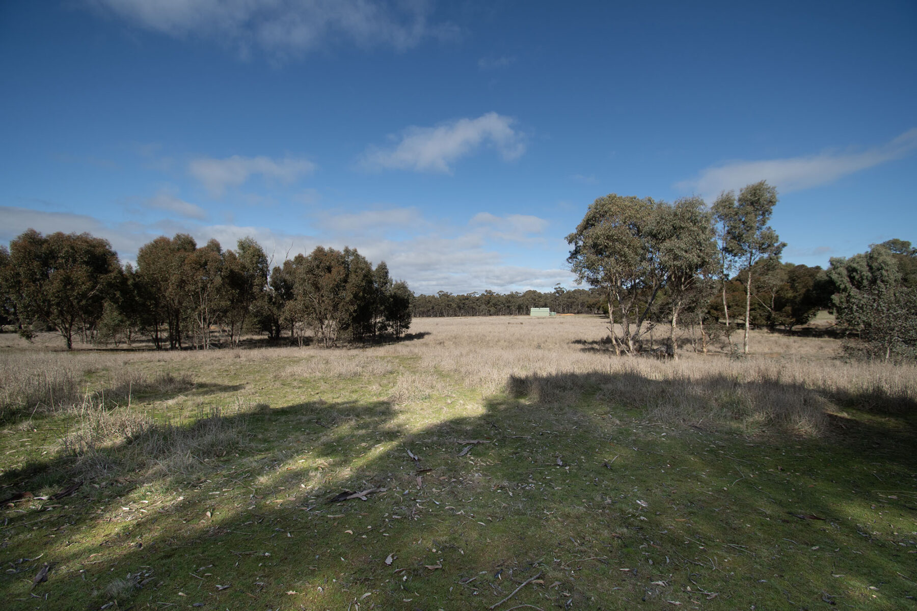 Property: 64 Diggers Track, Dunolly, VIC, 3472 photo-9