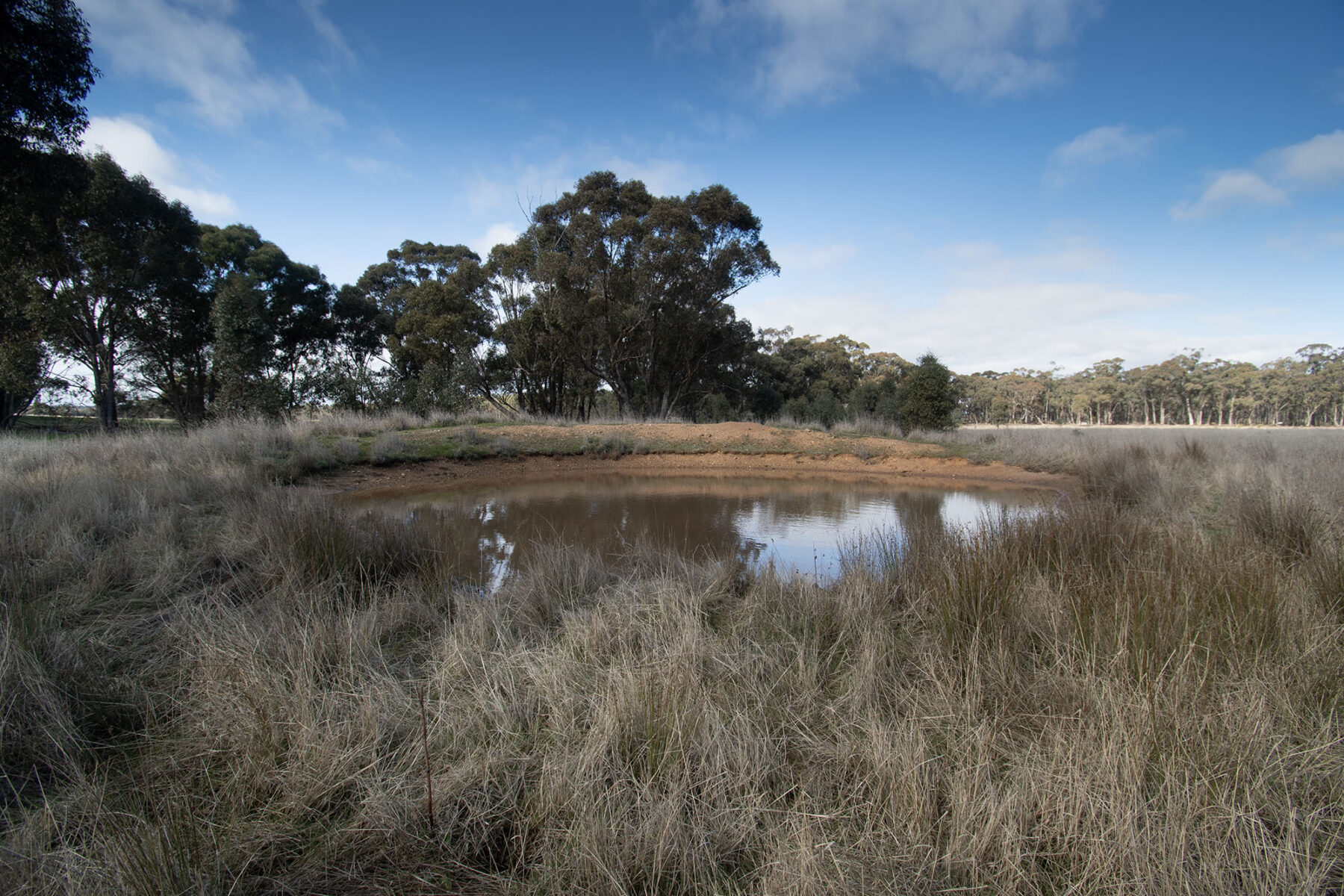 Property: 64 Diggers Track, Dunolly, VIC, 3472 photo-8
