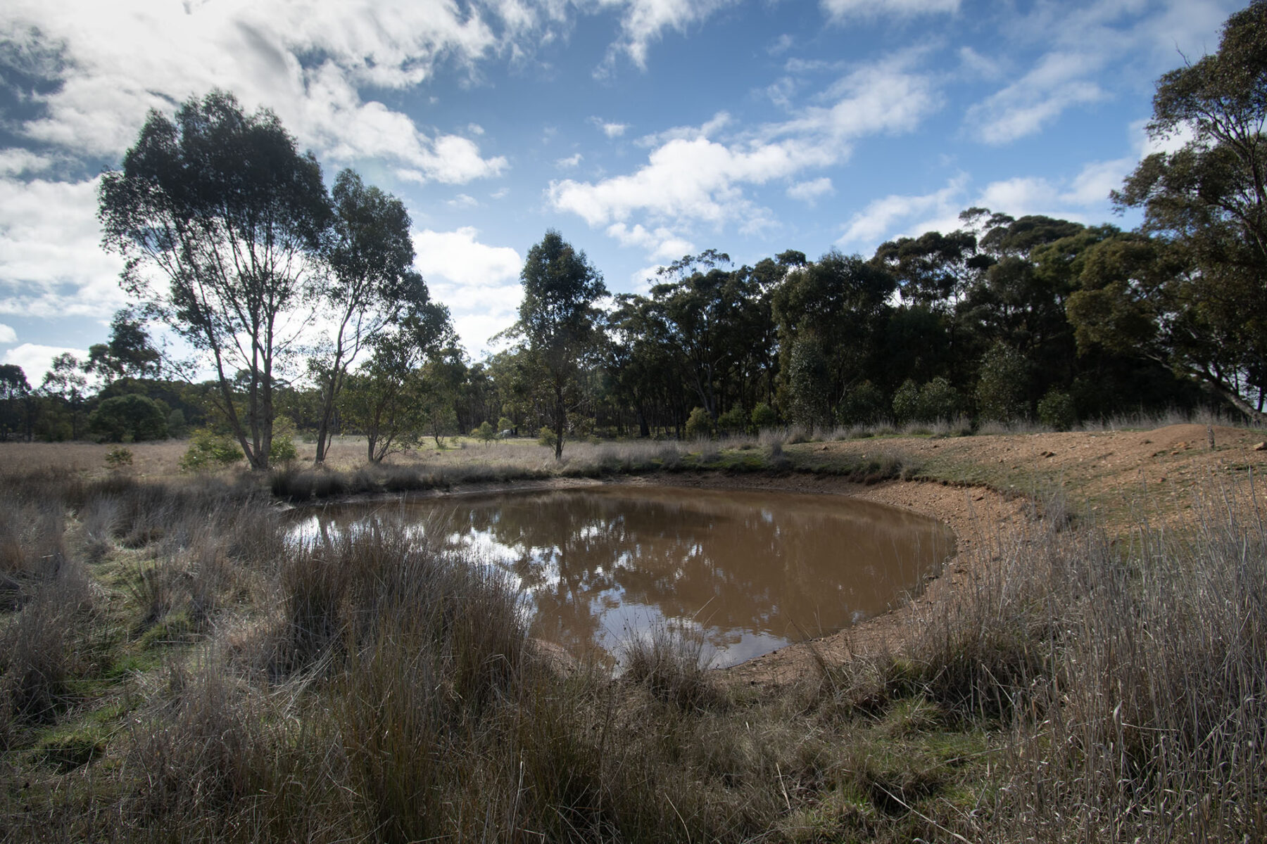 Property: 64 Diggers Track, Dunolly, VIC, 3472 photo-7