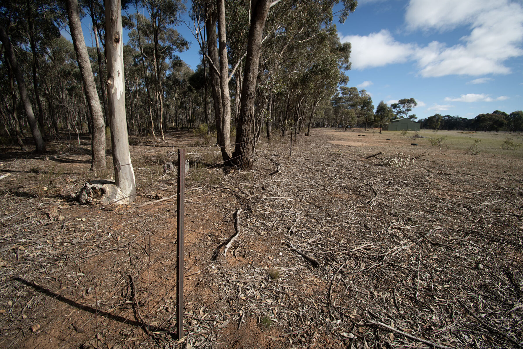 Property: 64 Diggers Track, Dunolly, VIC, 3472 photo-14