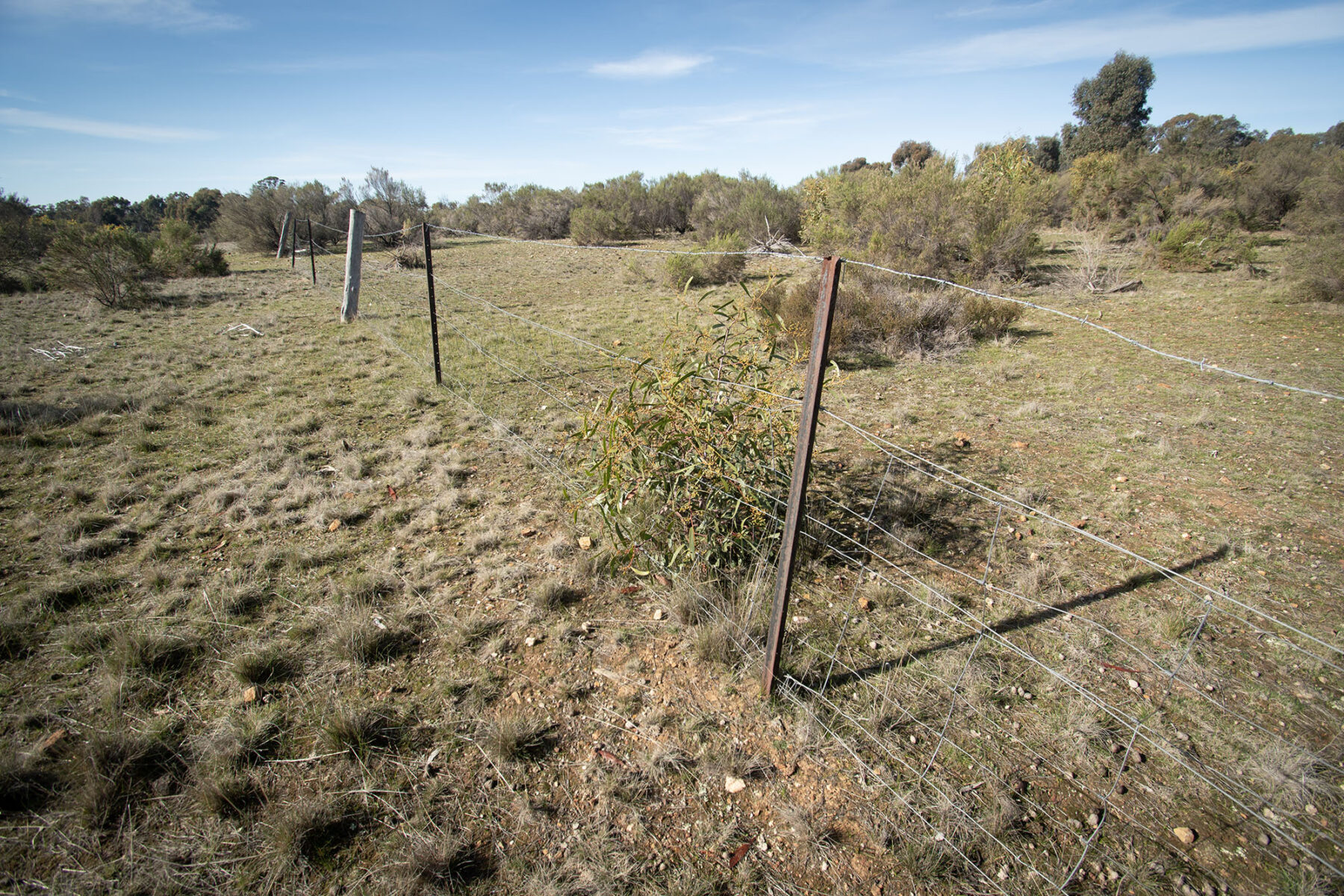 Property: 21 Gloury Road, Dunolly, VIC, 3472 photo-17