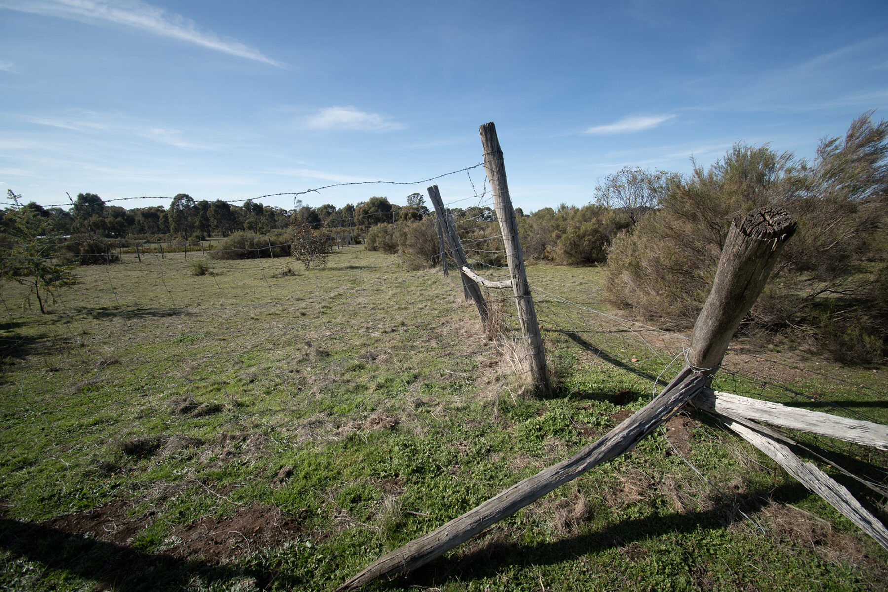 Property: 21 Gloury Road, Dunolly, VIC, 3472 photo-18