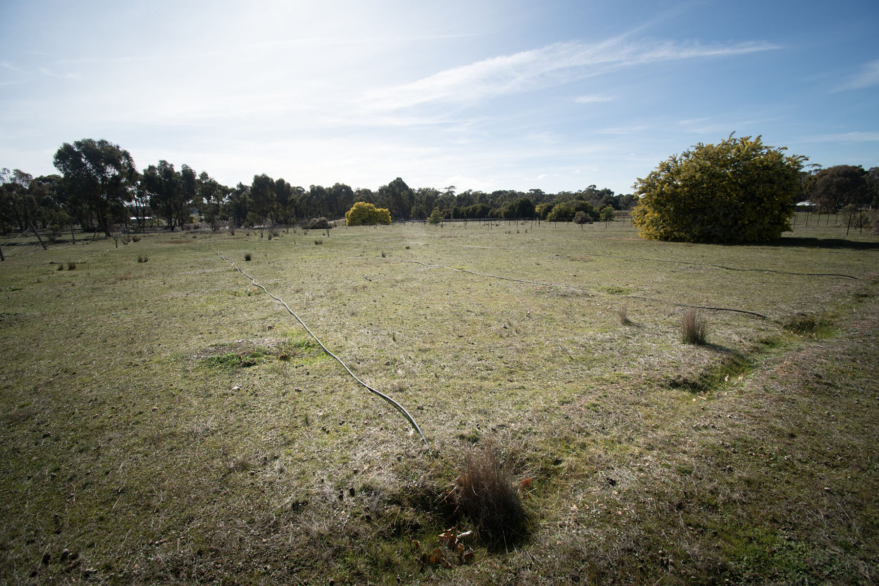 Property: 21 Gloury Road, Dunolly, VIC, 3472 photo-1