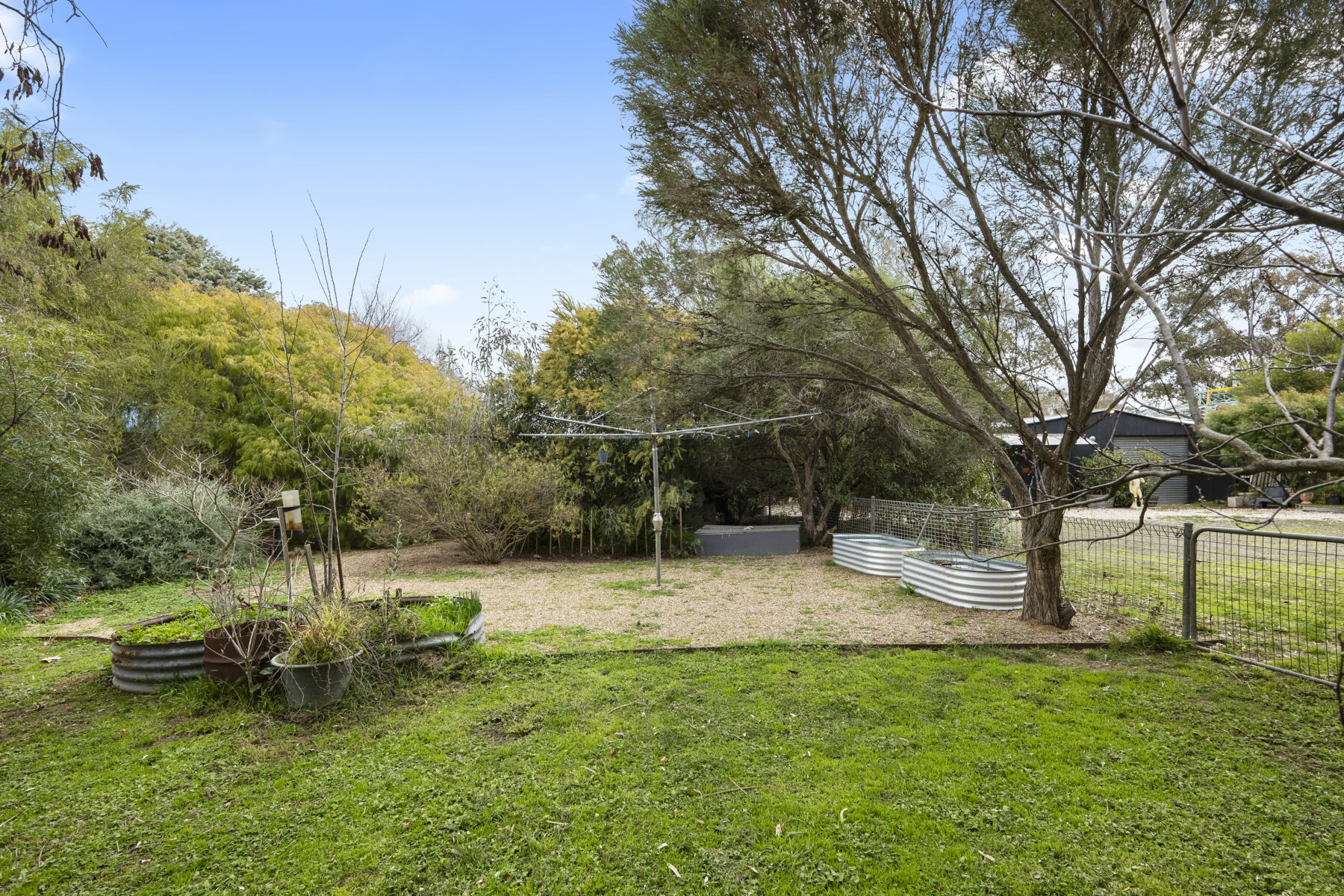 Property: 64 Dundas Street, Avoca, Vic, 3467 photo-11