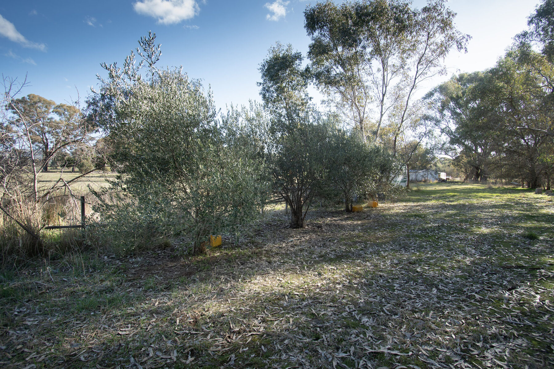 Property: CA 2 SEC 41 Langley Lane, McIntyre, Vic, 3472 photo-15
