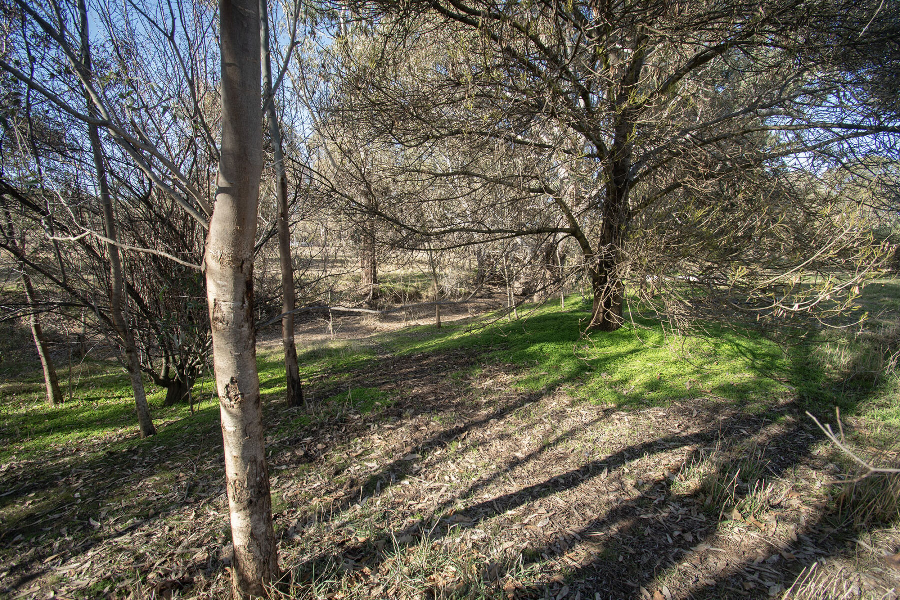 Property: CA 2 SEC 41 Langley Lane, McIntyre, Vic, 3472 photo-8