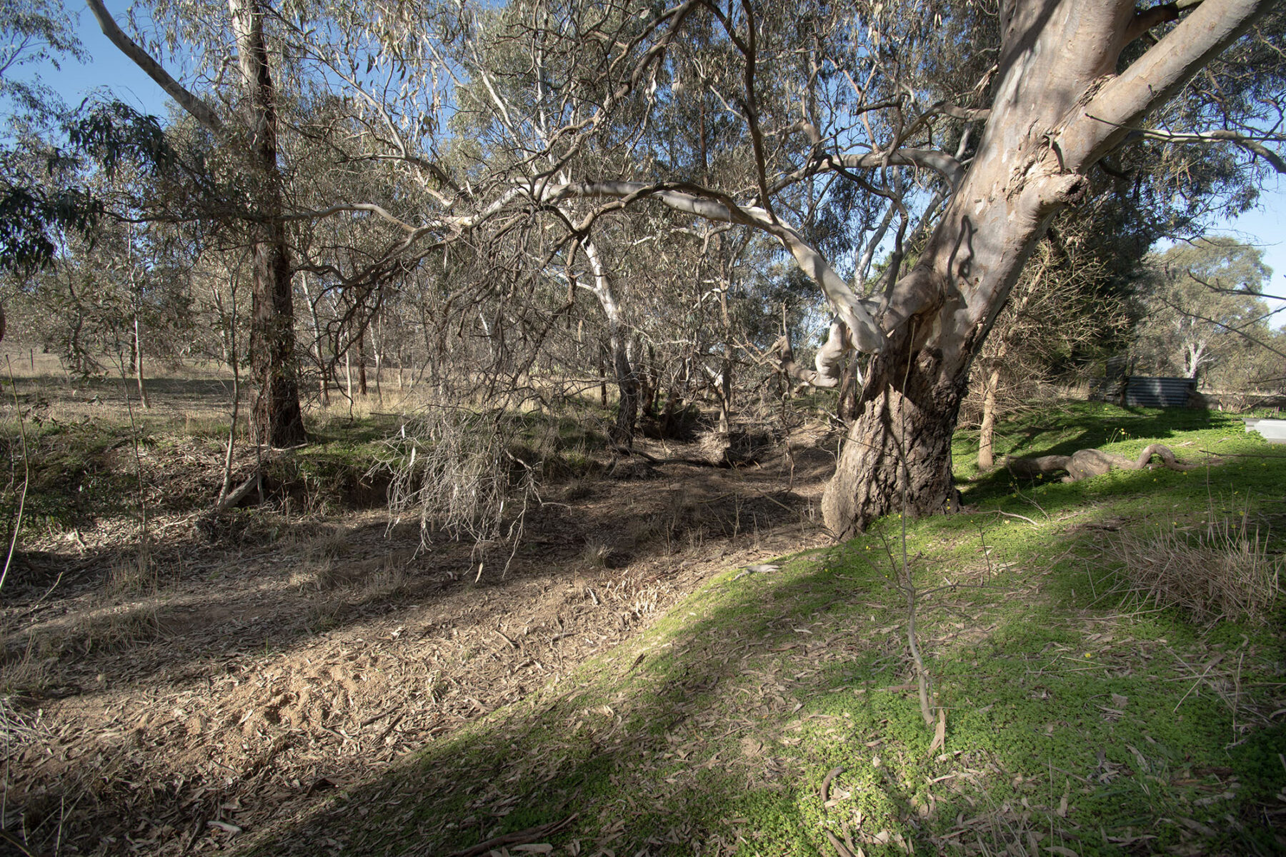 Property: CA 2 SEC 41 Langley Lane, McIntyre, Vic, 3472 photo-19