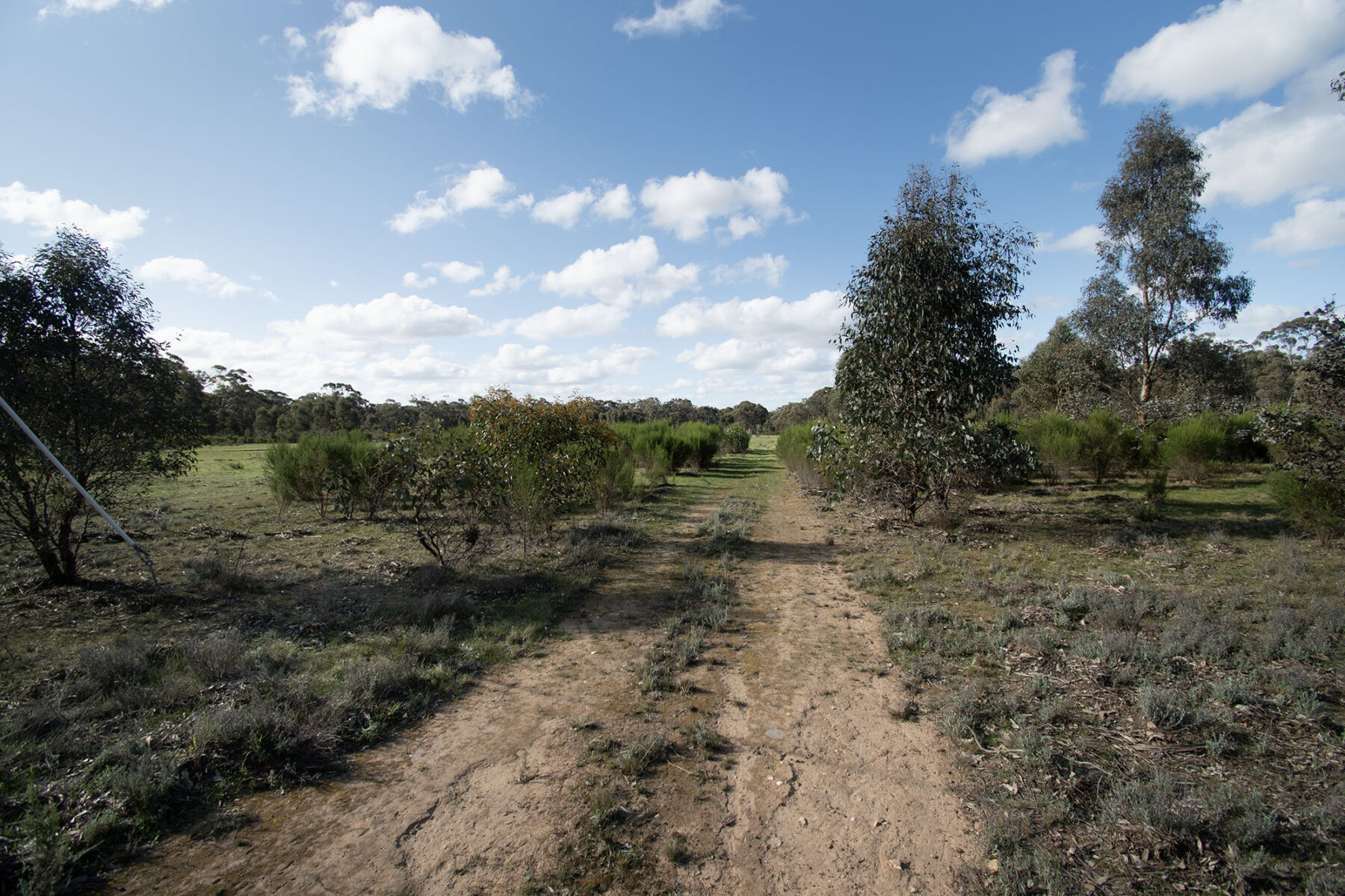 Property: 300 St Arnaud-Dunolly Road, Goldsborough, VIC, 3472 photo-13
