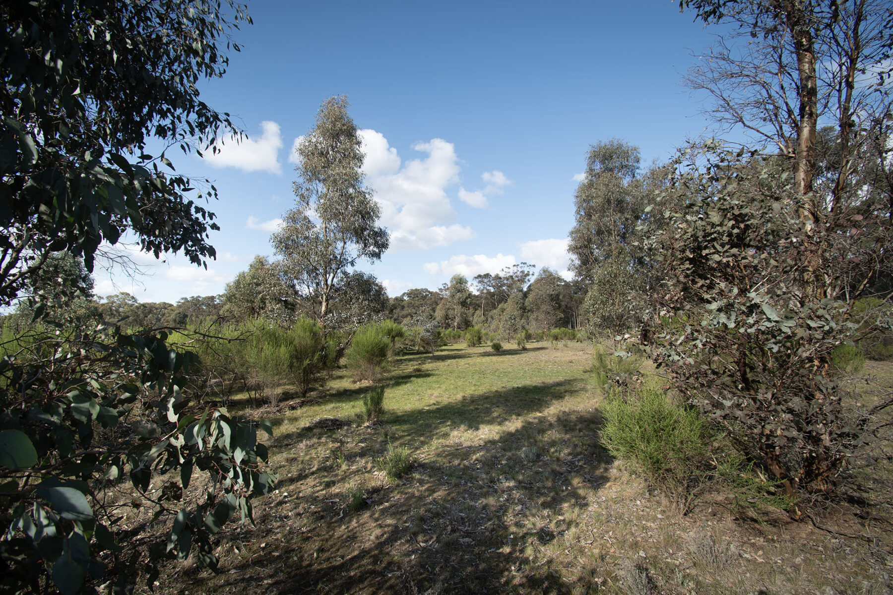 Property: 300 St Arnaud-Dunolly Road, Goldsborough, VIC, 3472 photo-14