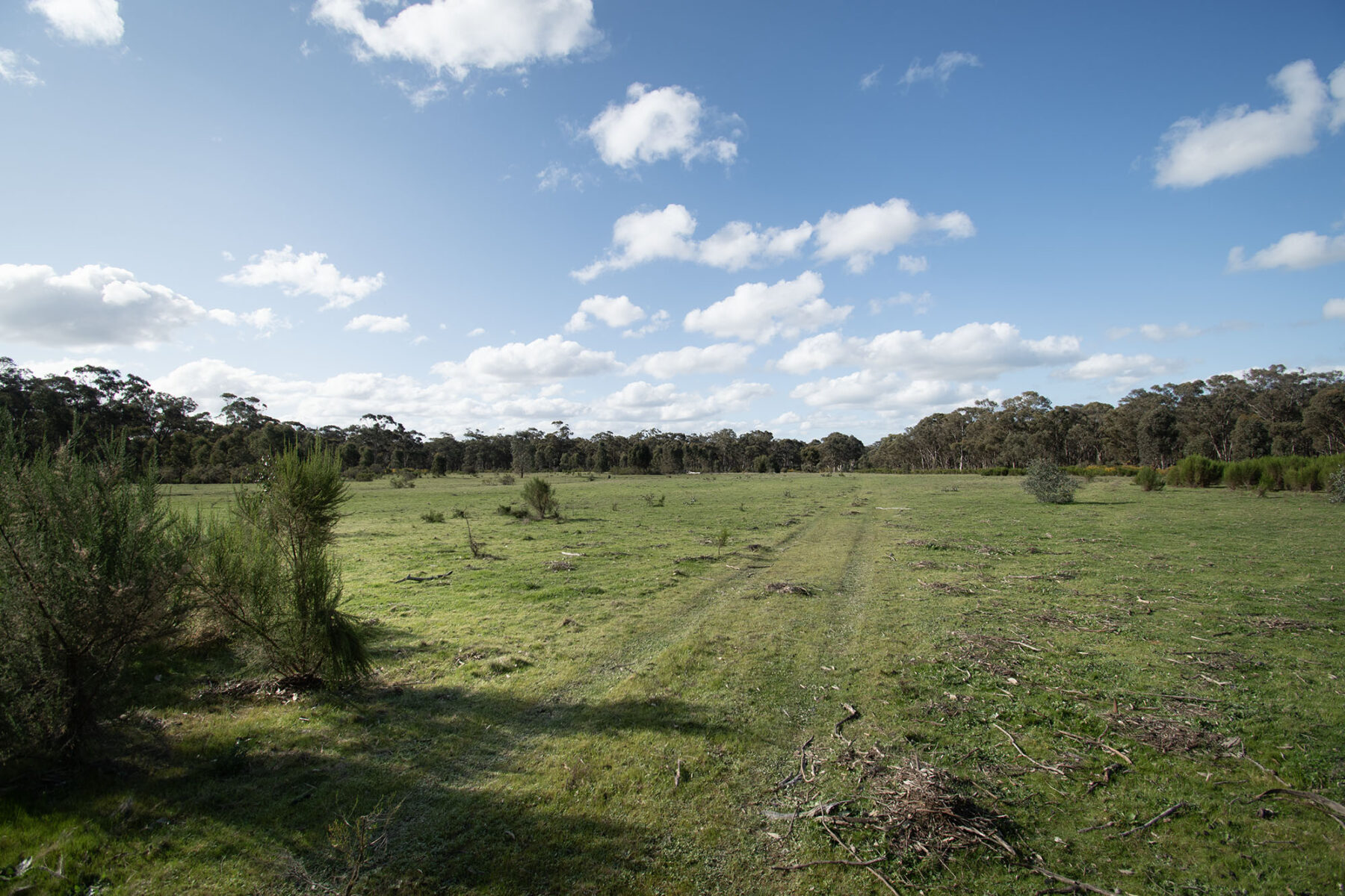 Property: 300 St Arnaud-Dunolly Road, Goldsborough, VIC, 3472 photo-15
