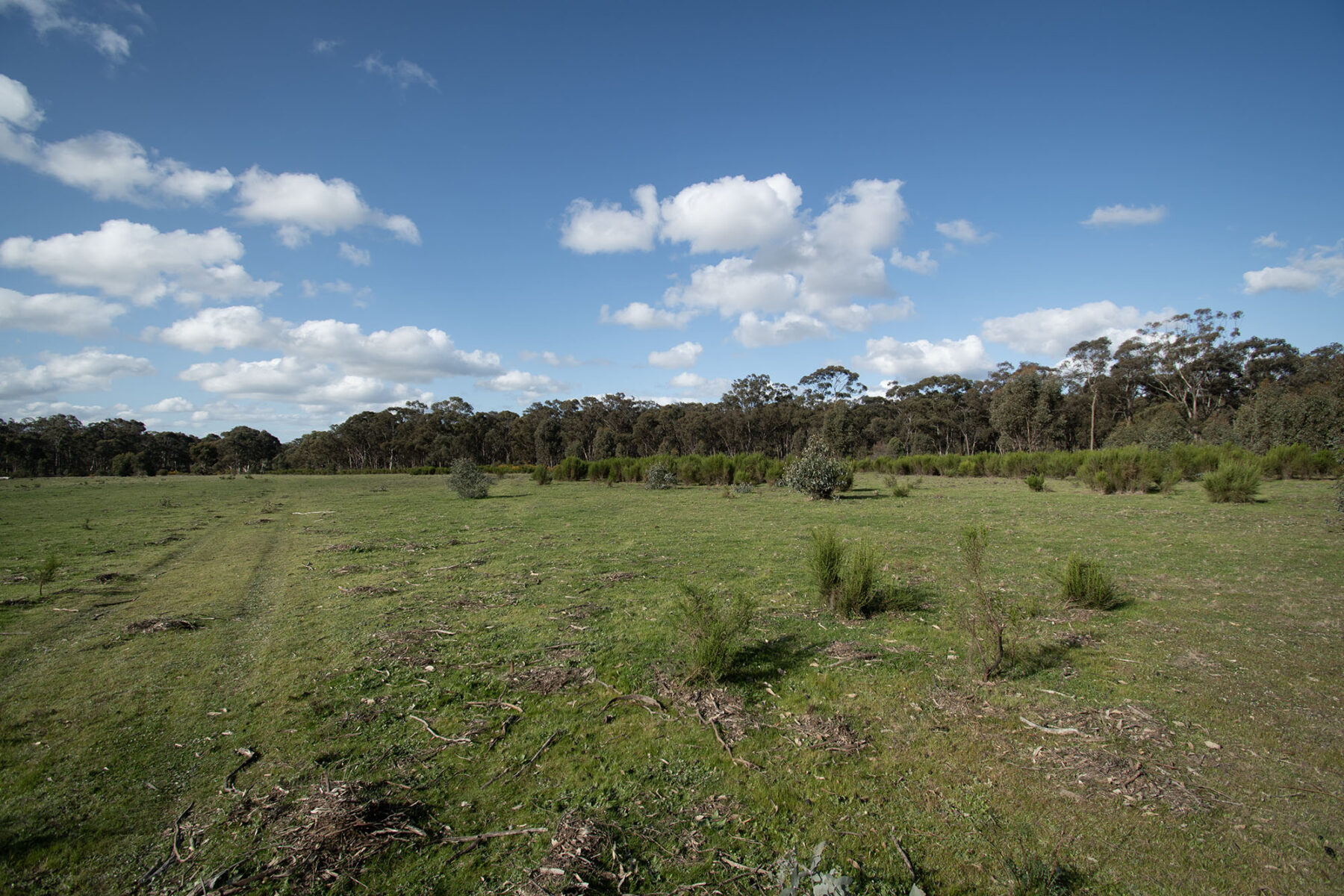 Property: 300 St Arnaud-Dunolly Road, Goldsborough, VIC, 3472 photo-16