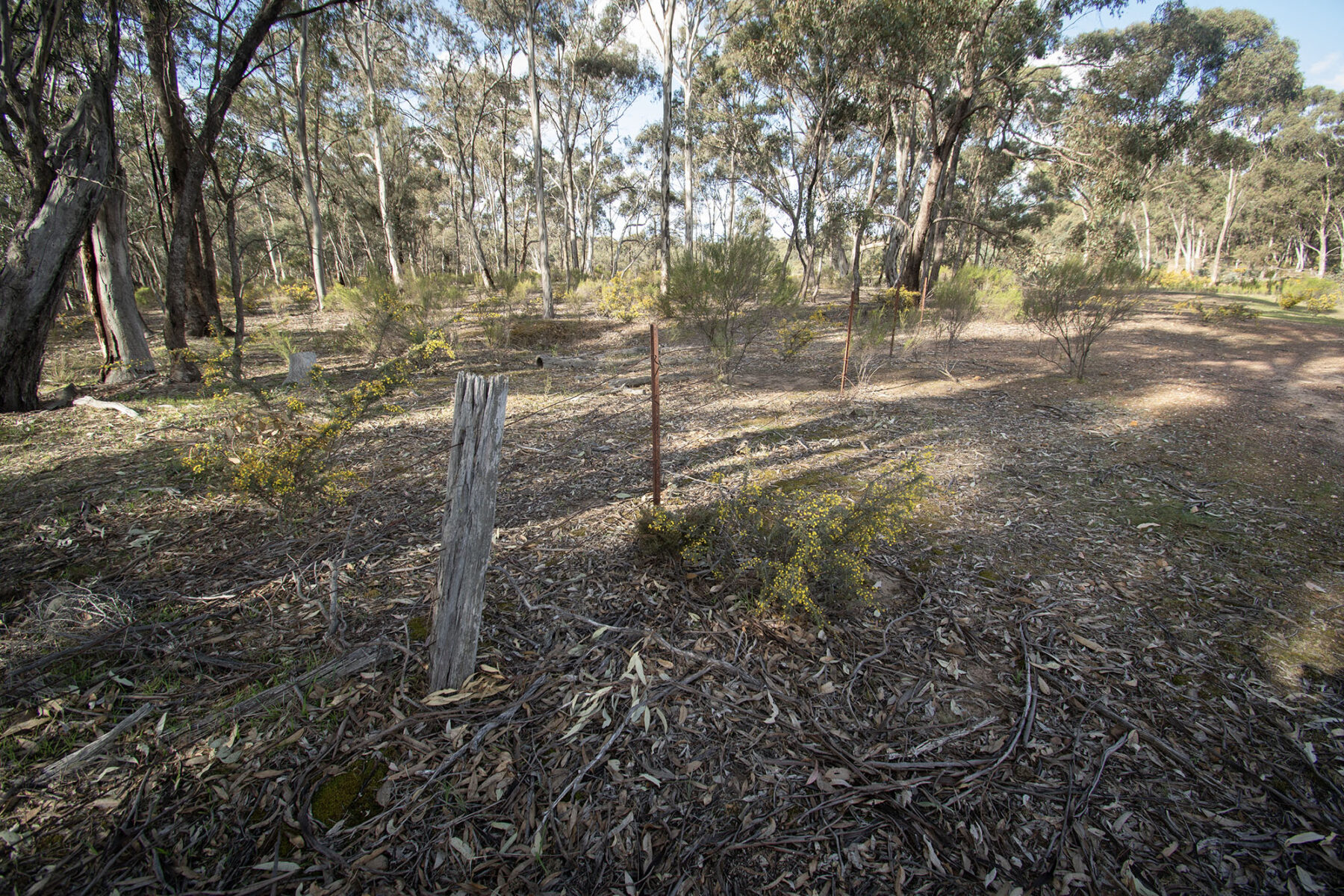 Property: 300 St Arnaud-Dunolly Road, Goldsborough, VIC, 3472 photo-17