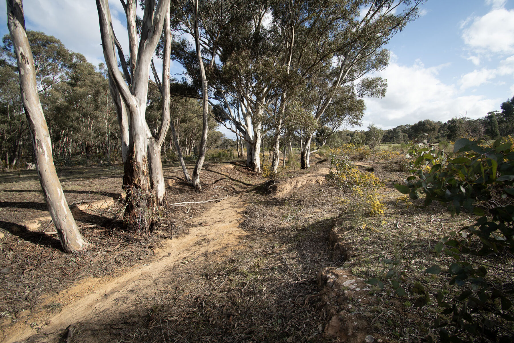 Property: 300 St Arnaud-Dunolly Road, Goldsborough, VIC, 3472 photo-18